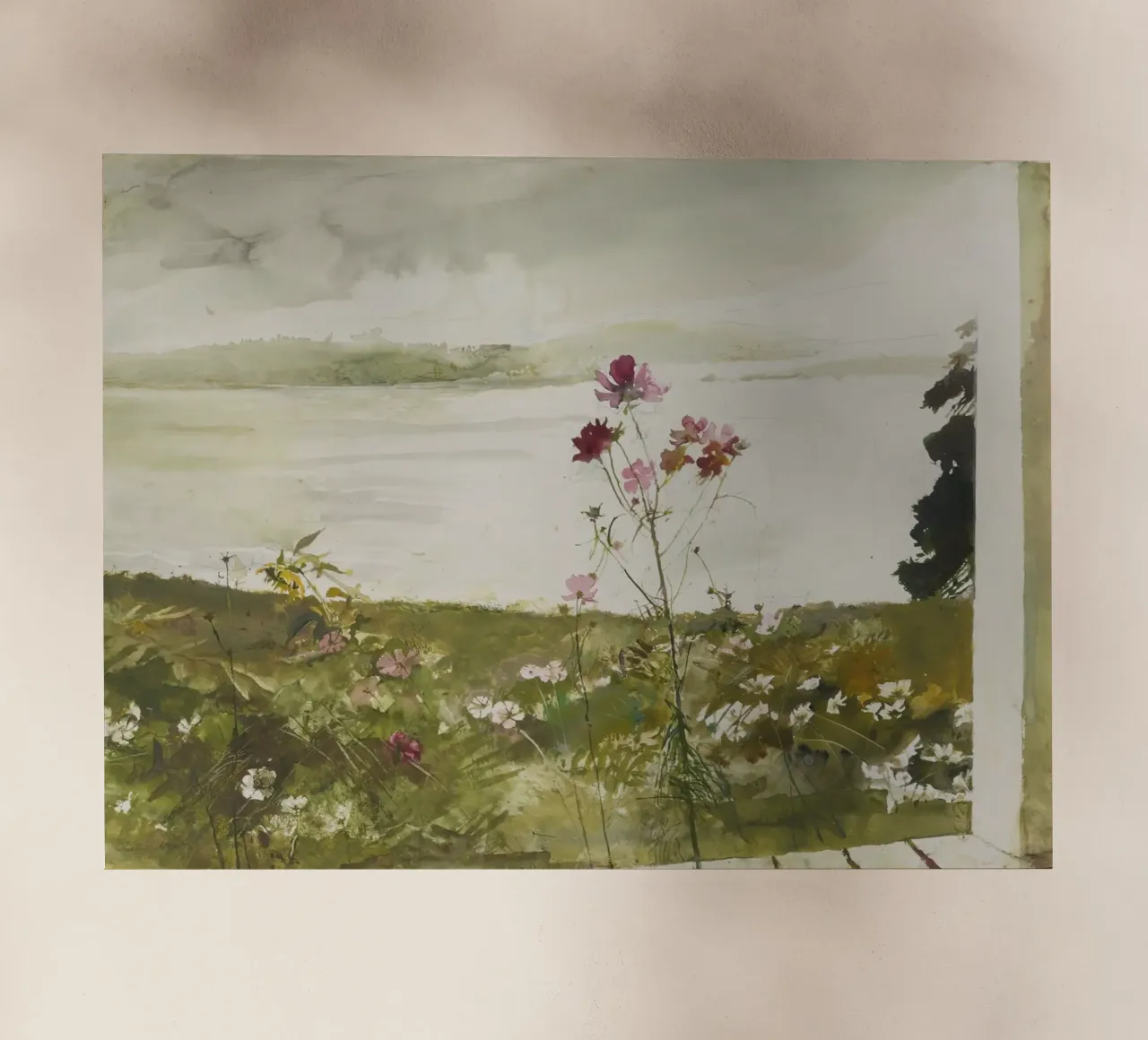 Andrew Wyeth Fiori di campo pellicola backlit da Classicprint