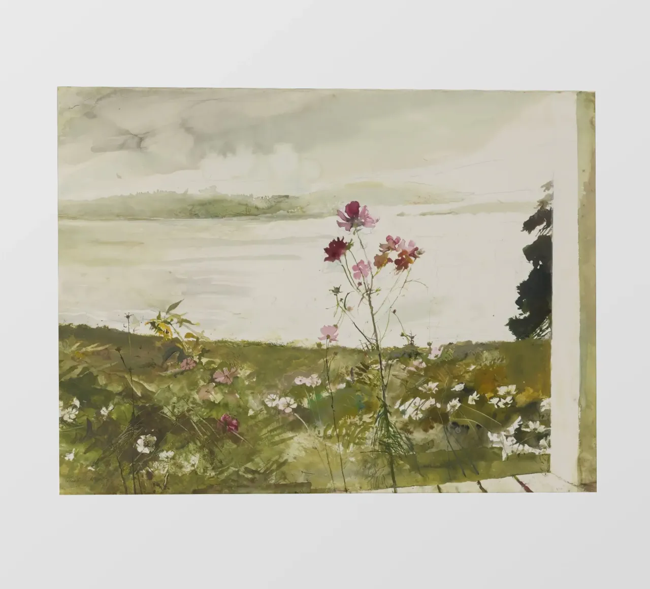 Andrew Wyeth Fiori di campo pellicola backlit da Classicprint