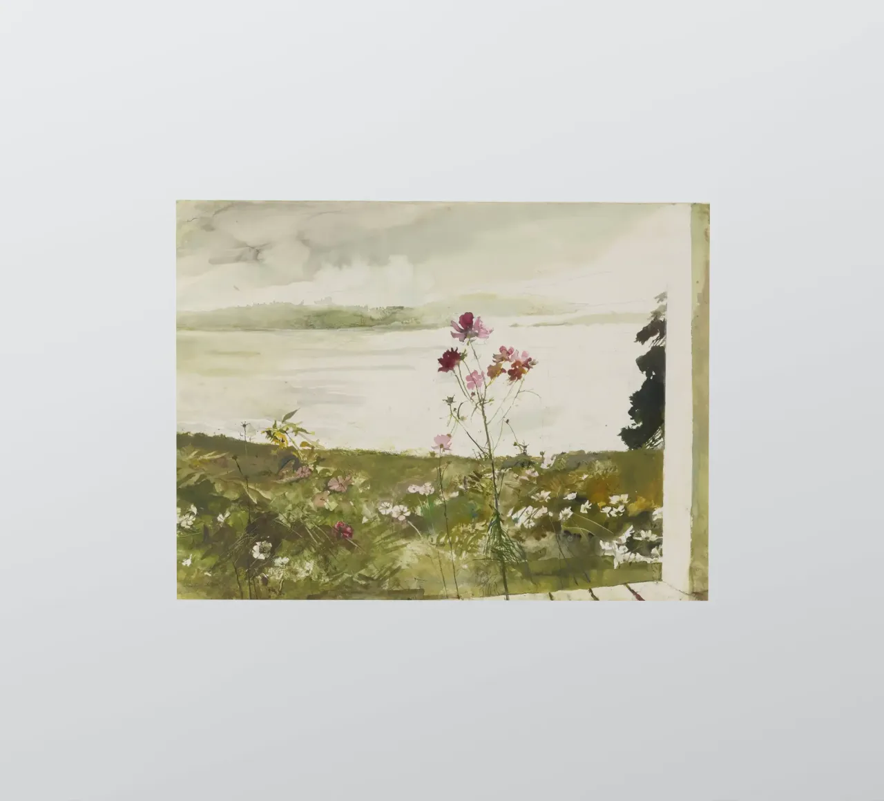 Andrew Wyeth Fiori di campo adesivo da Classicprint
