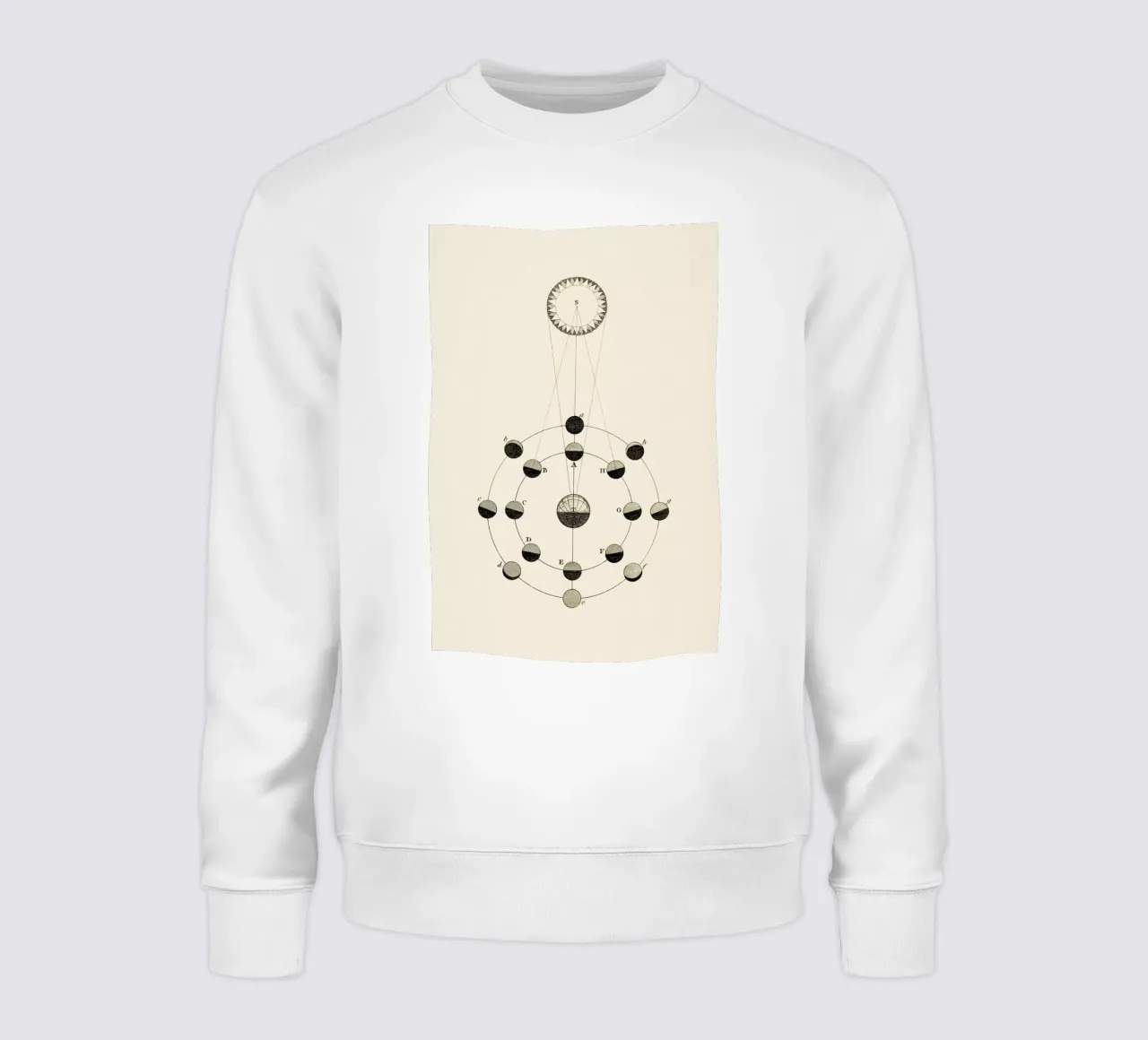 Solar Chart felpa da Flora & Fauna