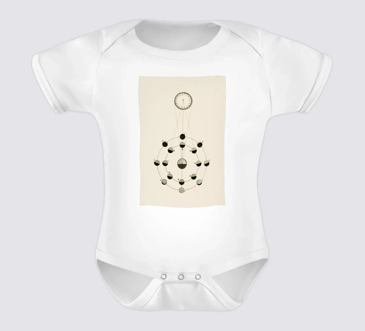 Solar Chart Kurzarm Babybody von Flora & Fauna