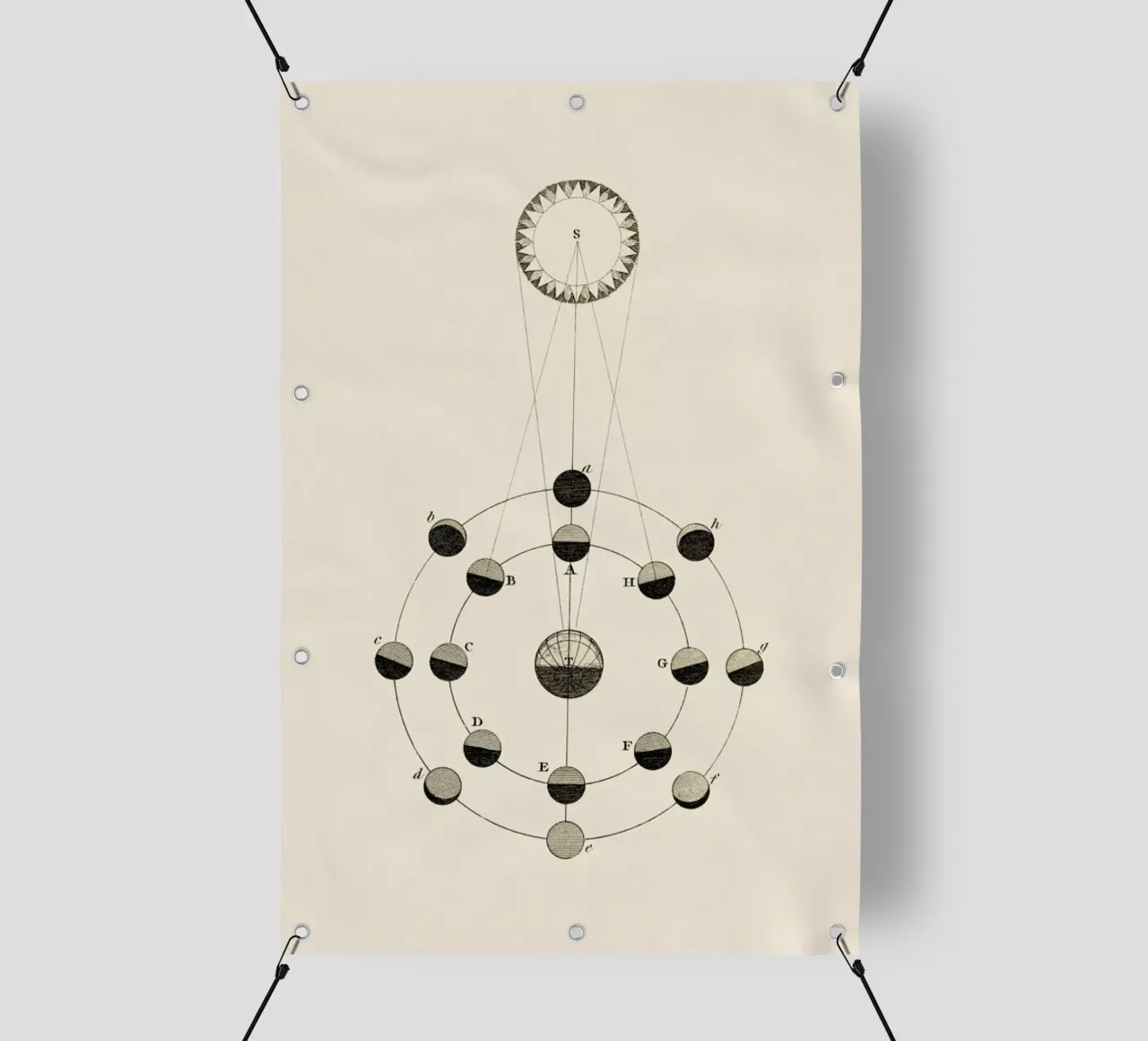 Solar Chart telo in pvc da Flora & Fauna