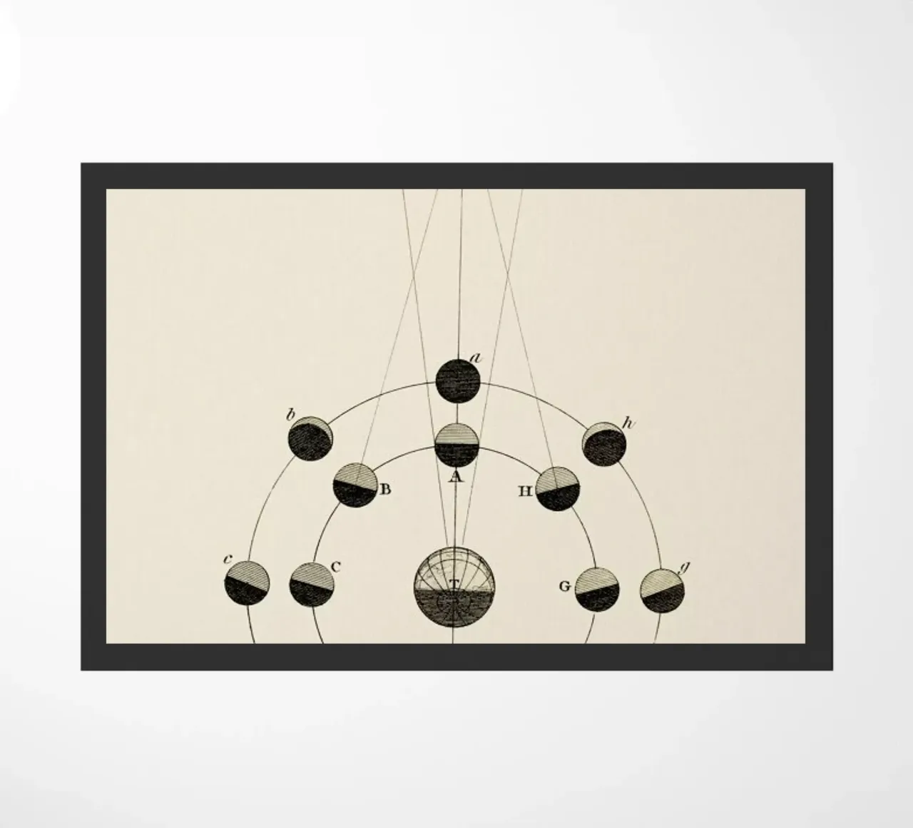 Solar Chart doormat by Flora & Fauna