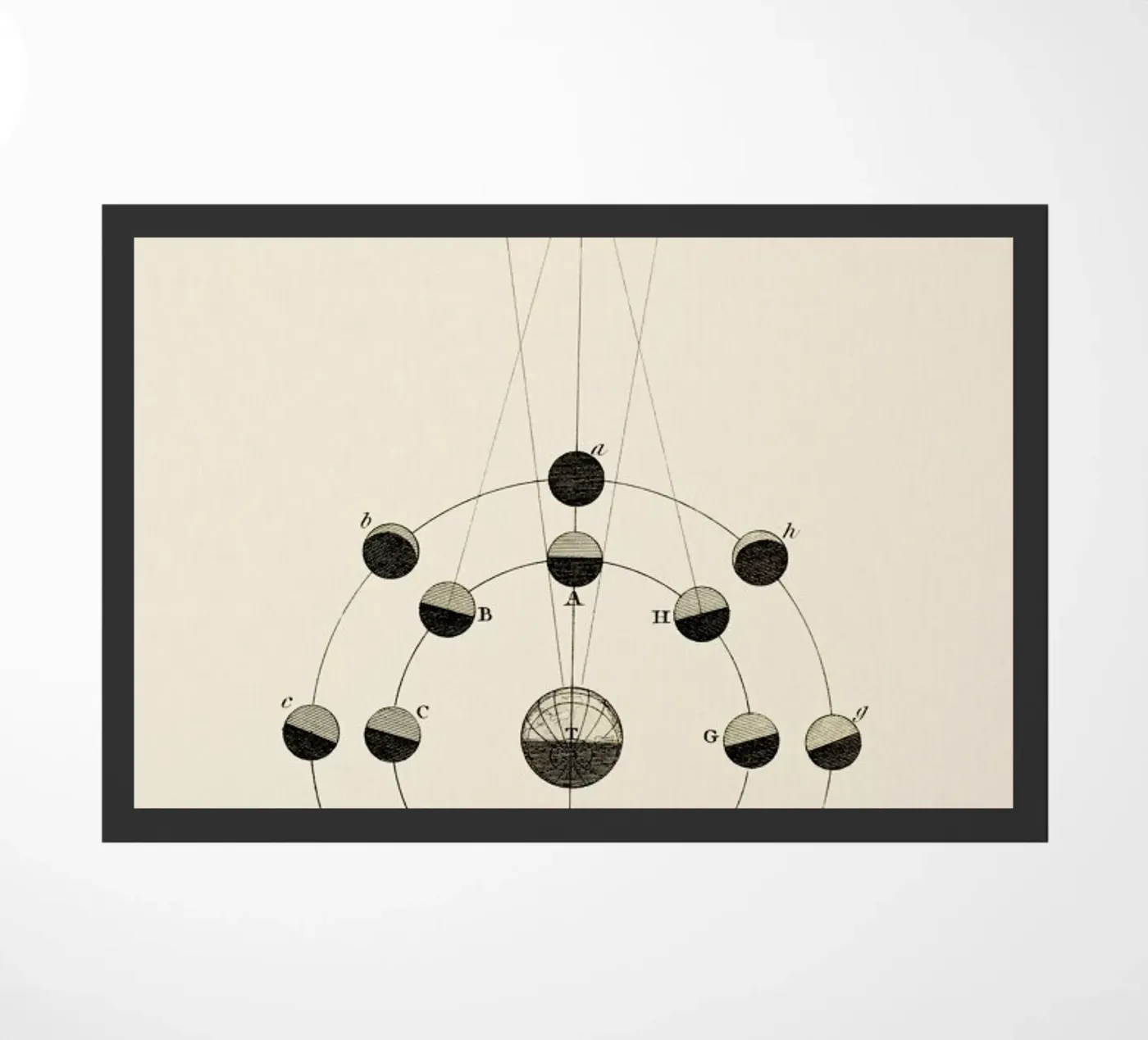 Solar Chart deurmat van Flora & Fauna