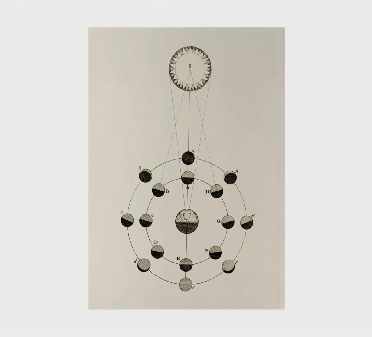 Solar Chart notebook by Flora & Fauna