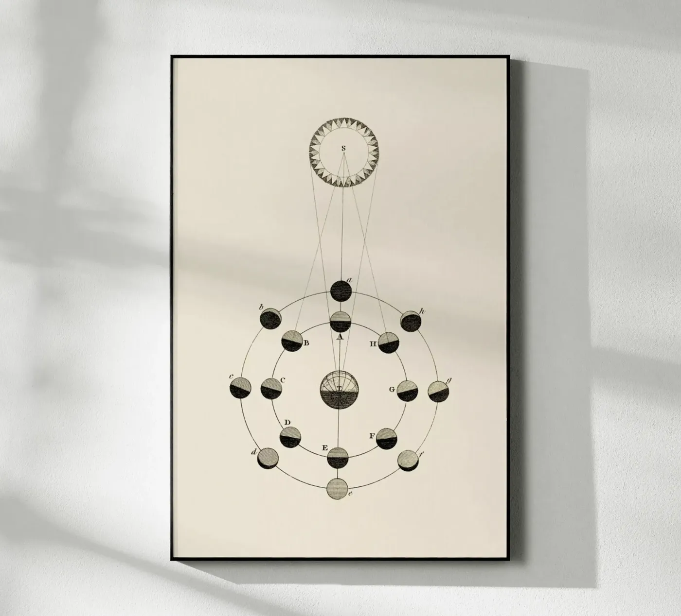 Solar Chart acryl van Flora & Fauna