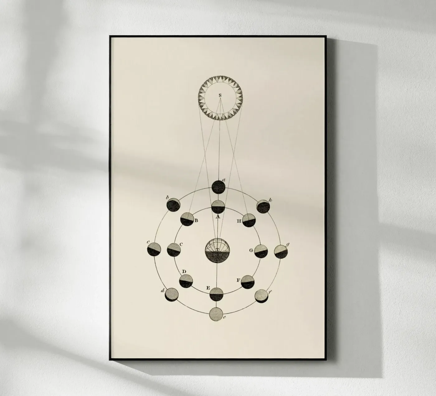 Solar Chart plexiglas de Flora & Fauna