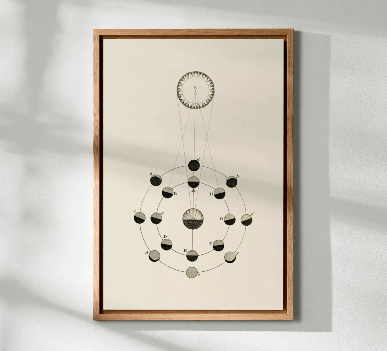 Solar Chart alluminio dibond da Flora & Fauna