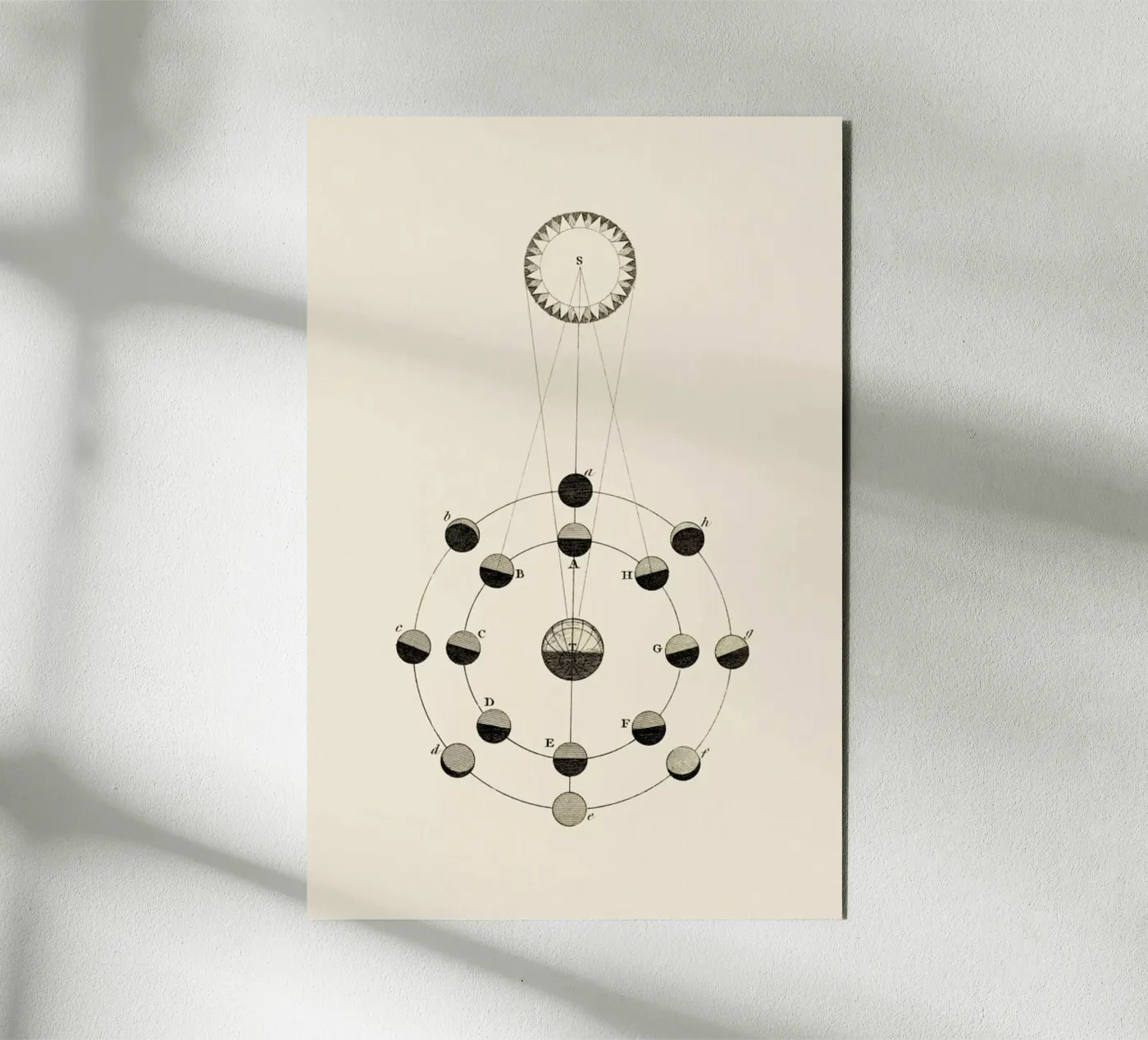 Solar Chart pannello forex da Flora & Fauna