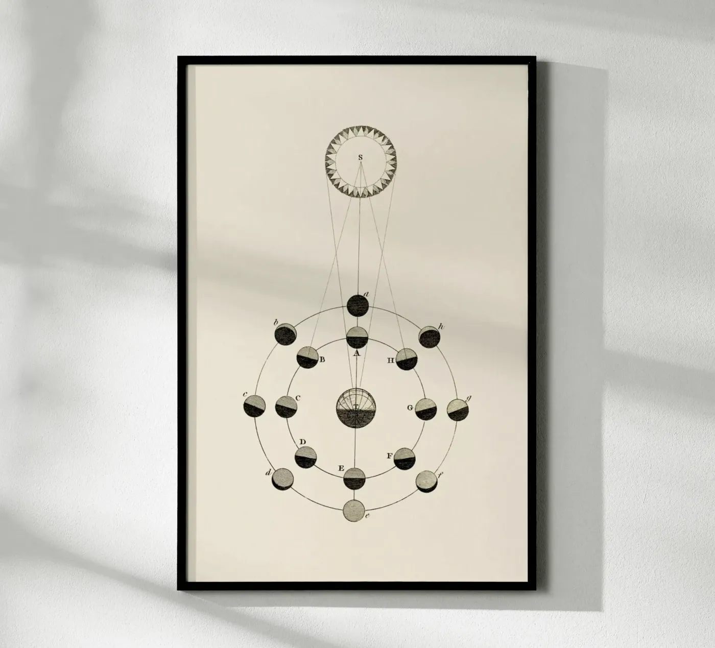 Solar Chart poster van Flora & Fauna