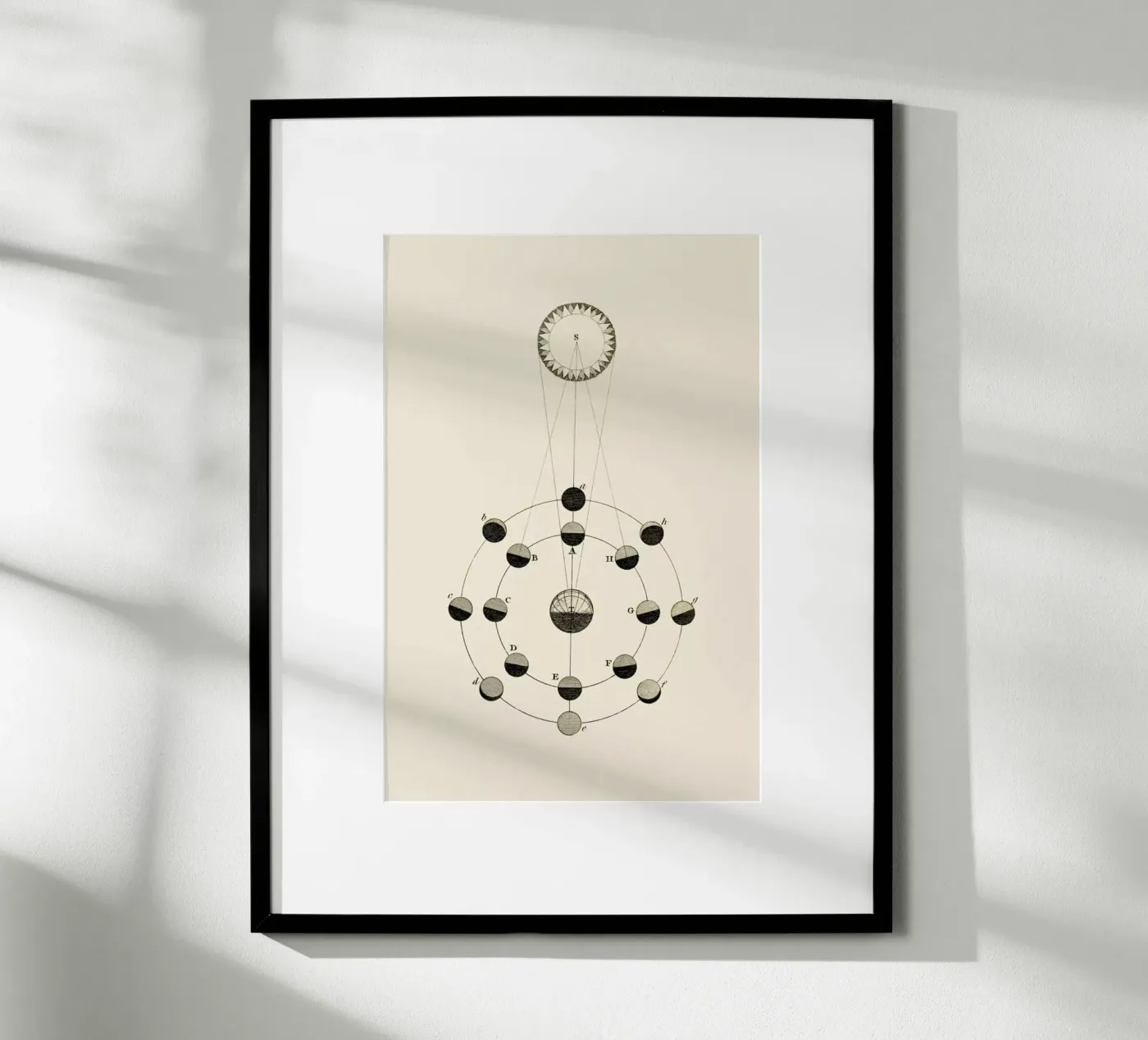Solar Chart poster by Flora & Fauna