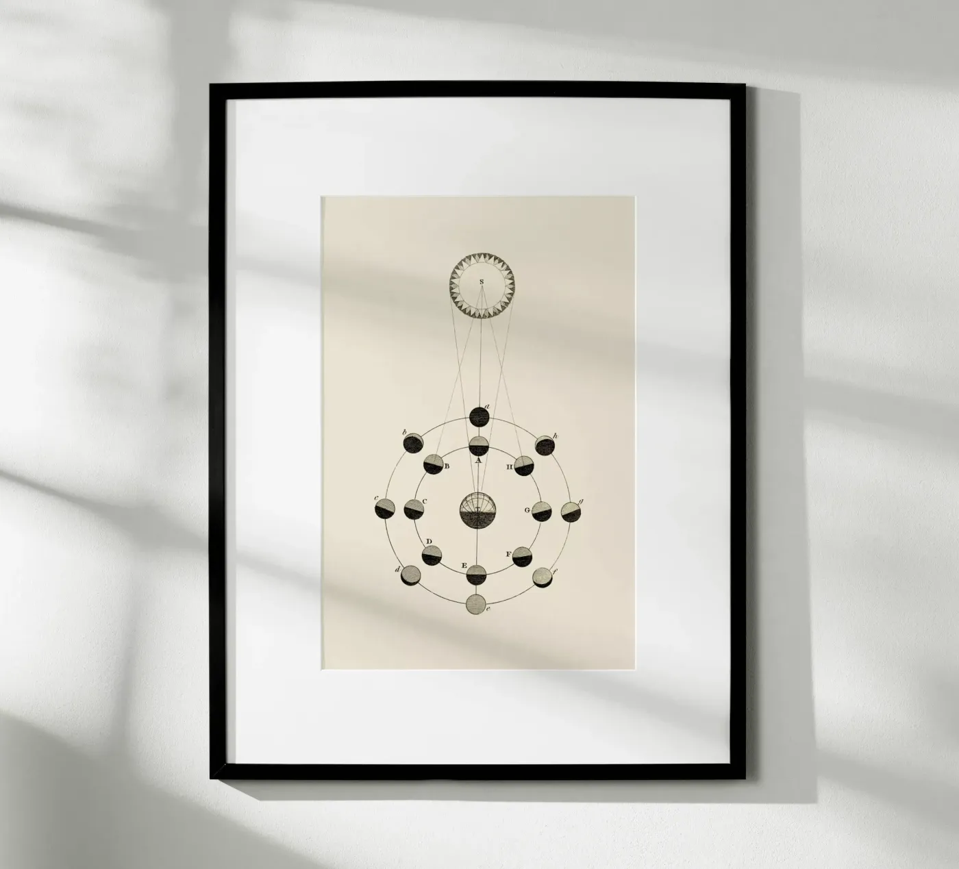 Solar Chart poster van Flora & Fauna