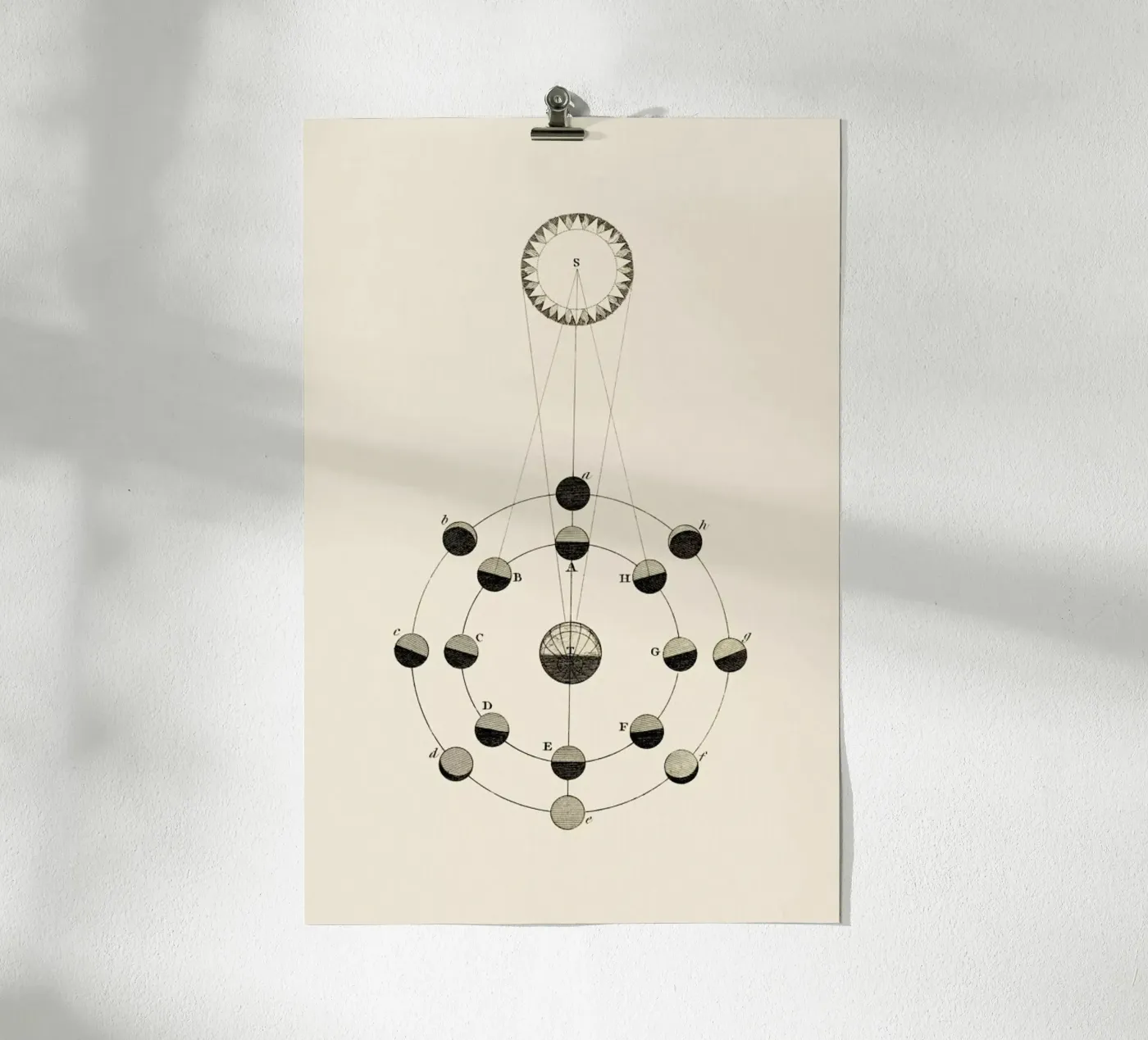 Solar Chart poster van Flora & Fauna
