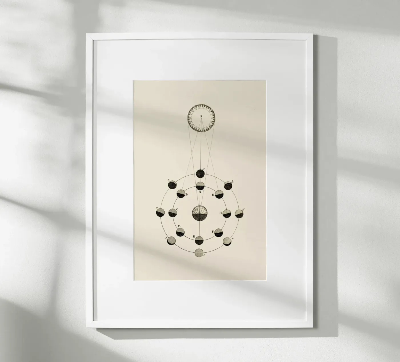 Solar Chart poster by Flora & Fauna