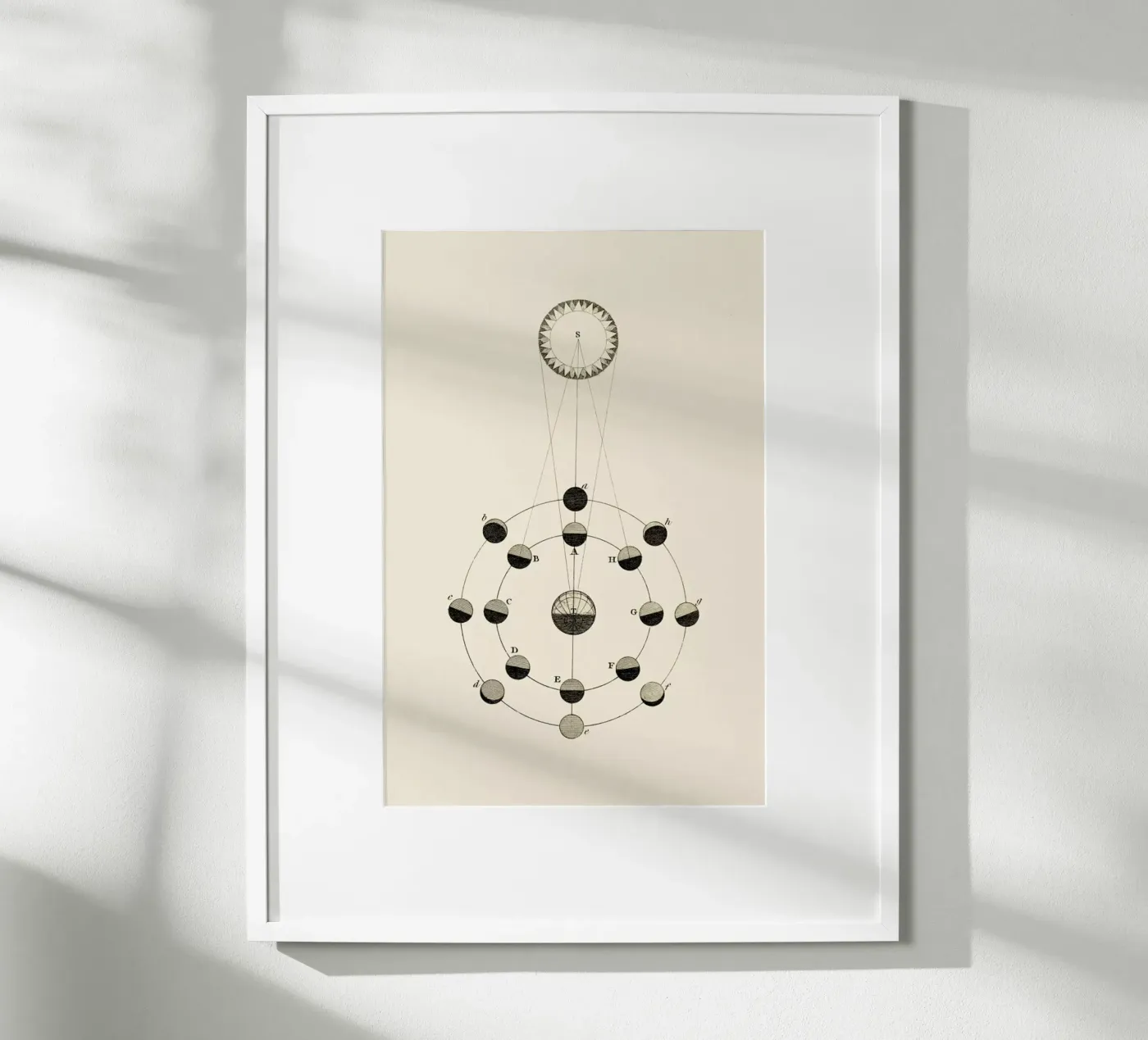 Solar Chart poster van Flora & Fauna