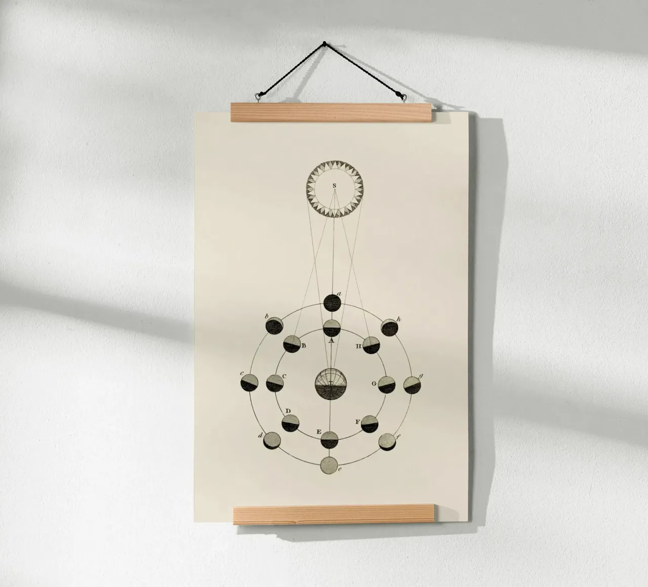 Solar Chart poster da Flora & Fauna