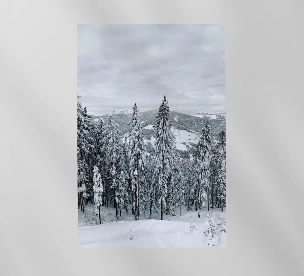 Forest In The Alps pellicola backlit da Sebastian Hilgetag