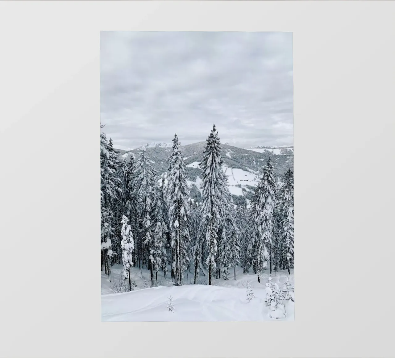 Forest In The Alps telo in pvc da Sebastian Hilgetag