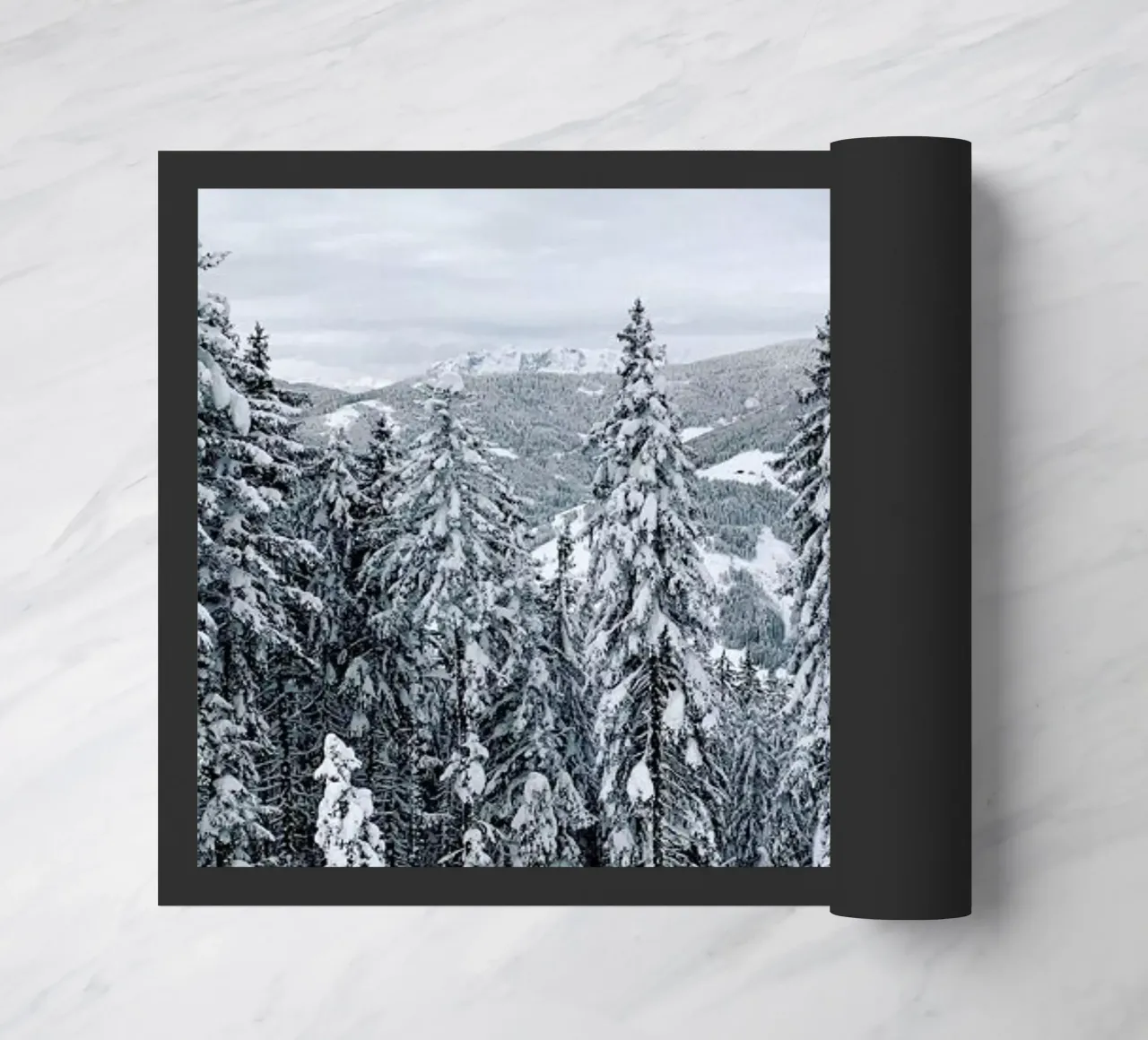 Forest In The Alps zerbino da Sebastian Hilgetag