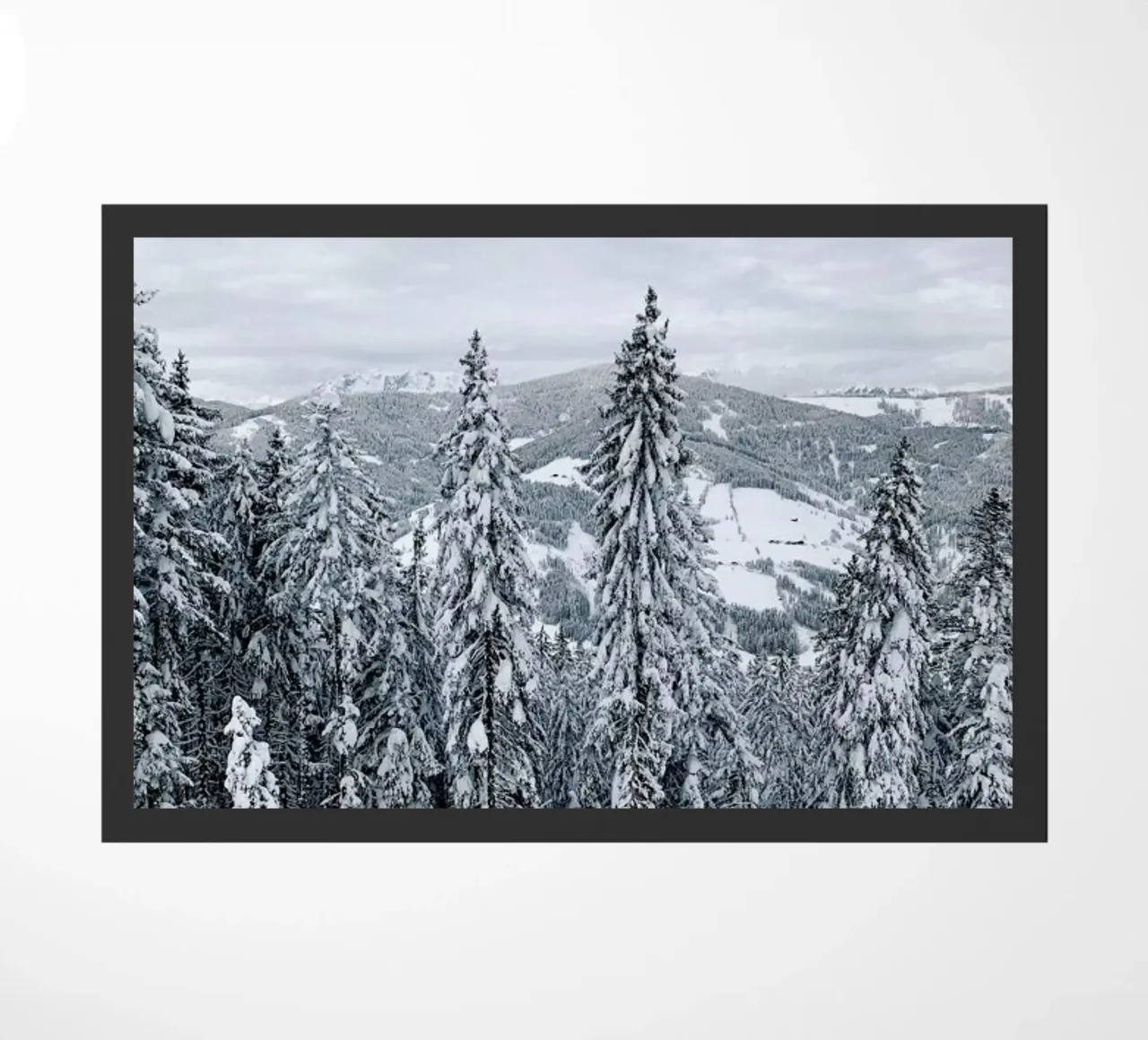Forest In The Alps zerbino da Sebastian Hilgetag
