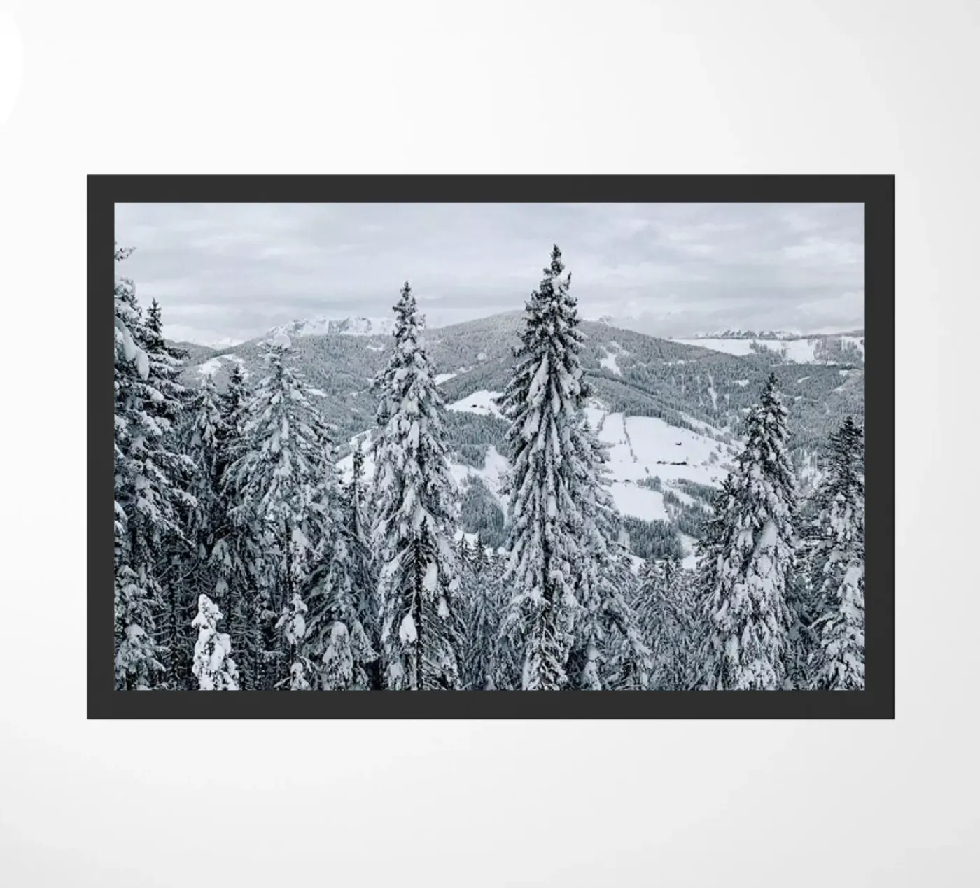 Forest In The Alps zerbino da Sebastian Hilgetag