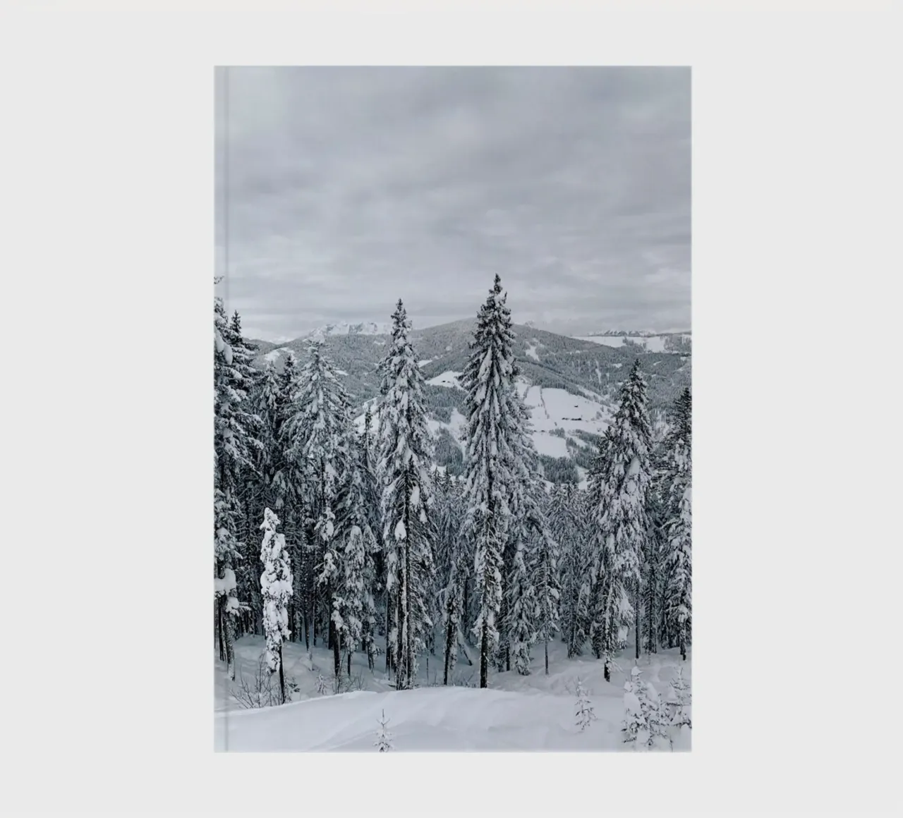 Forest In The Alps notebook by Sebastian Hilgetag