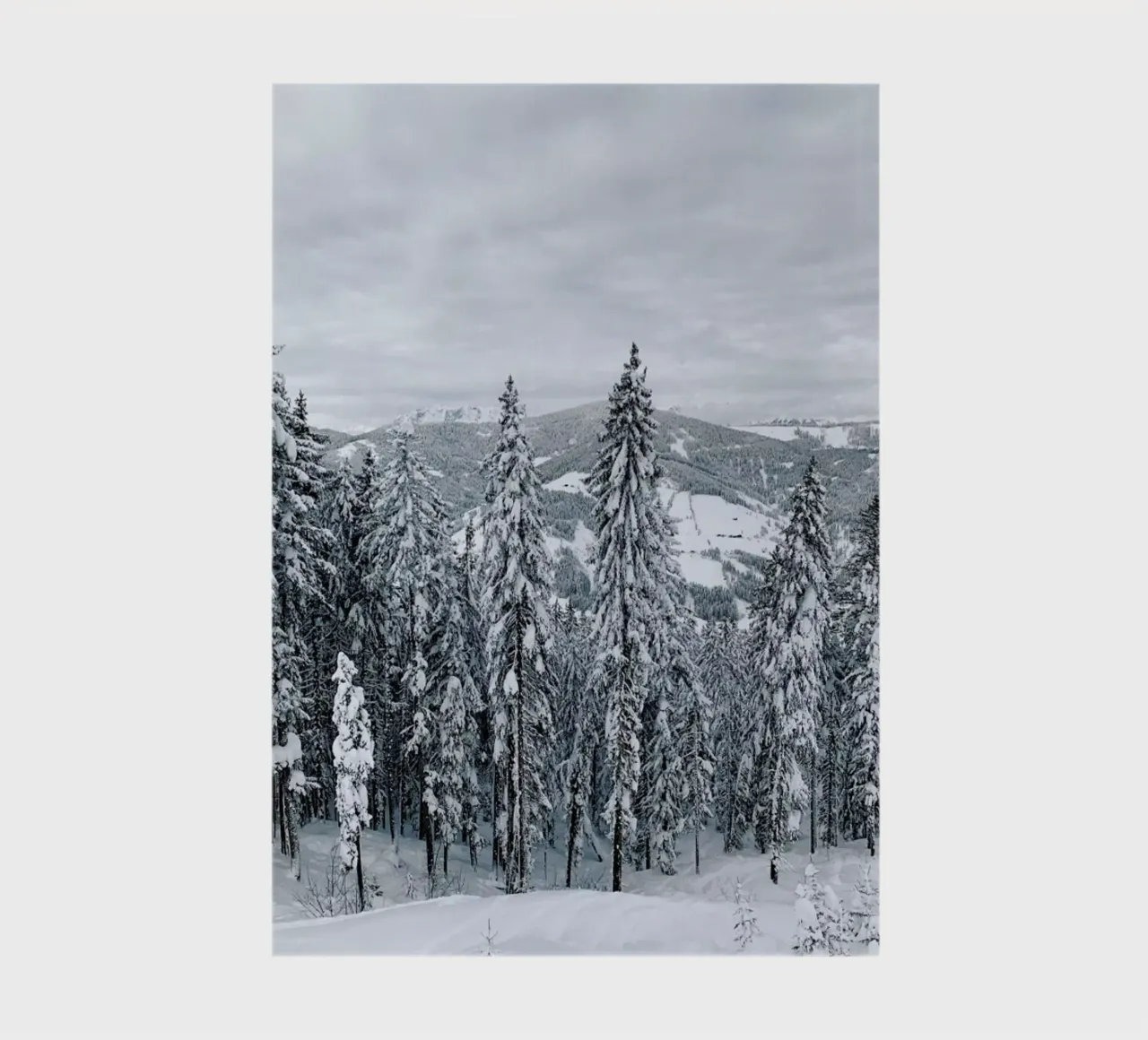 Forest In The Alps notebook by Sebastian Hilgetag