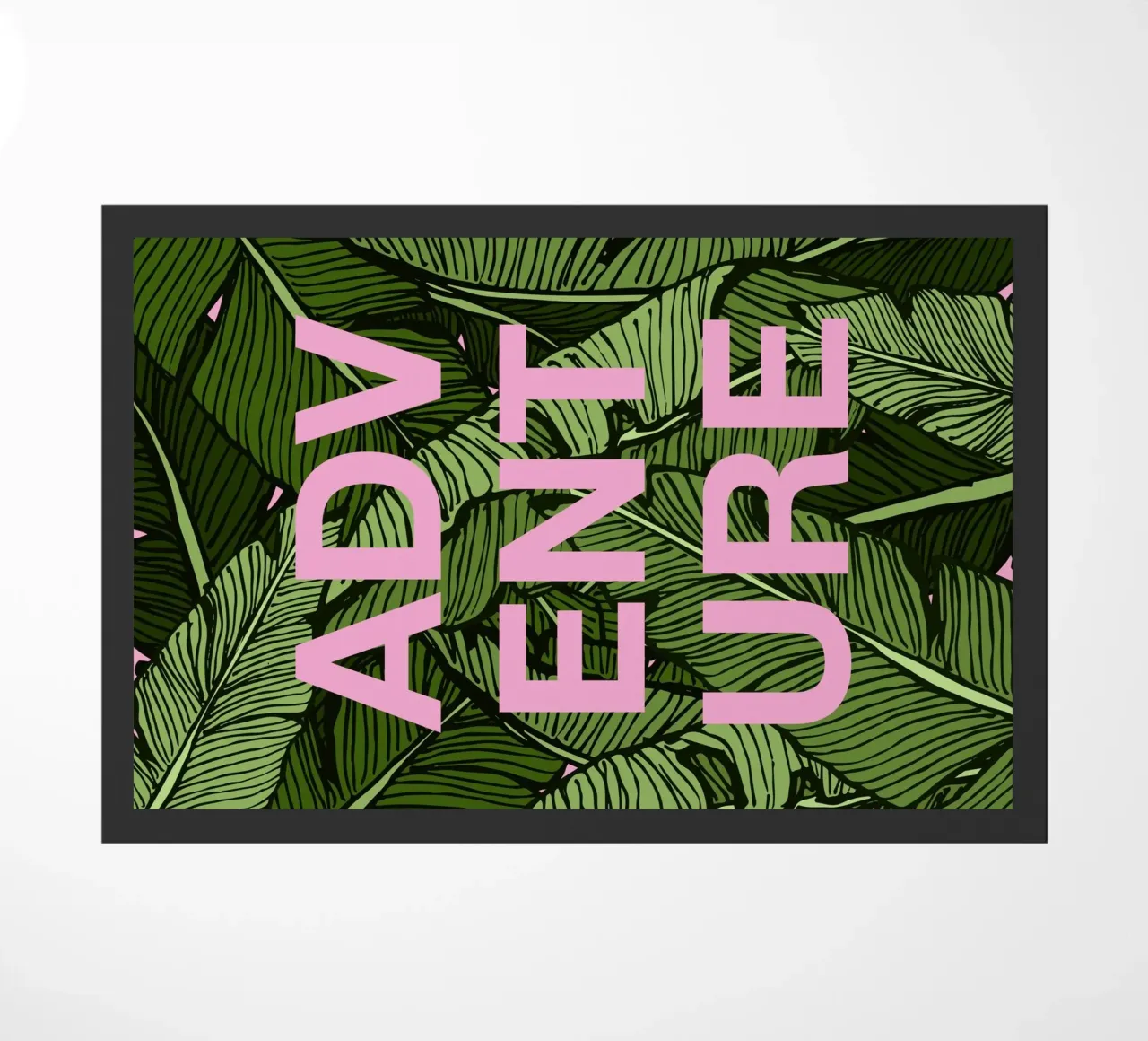 Adventure zerbino da DesigndN