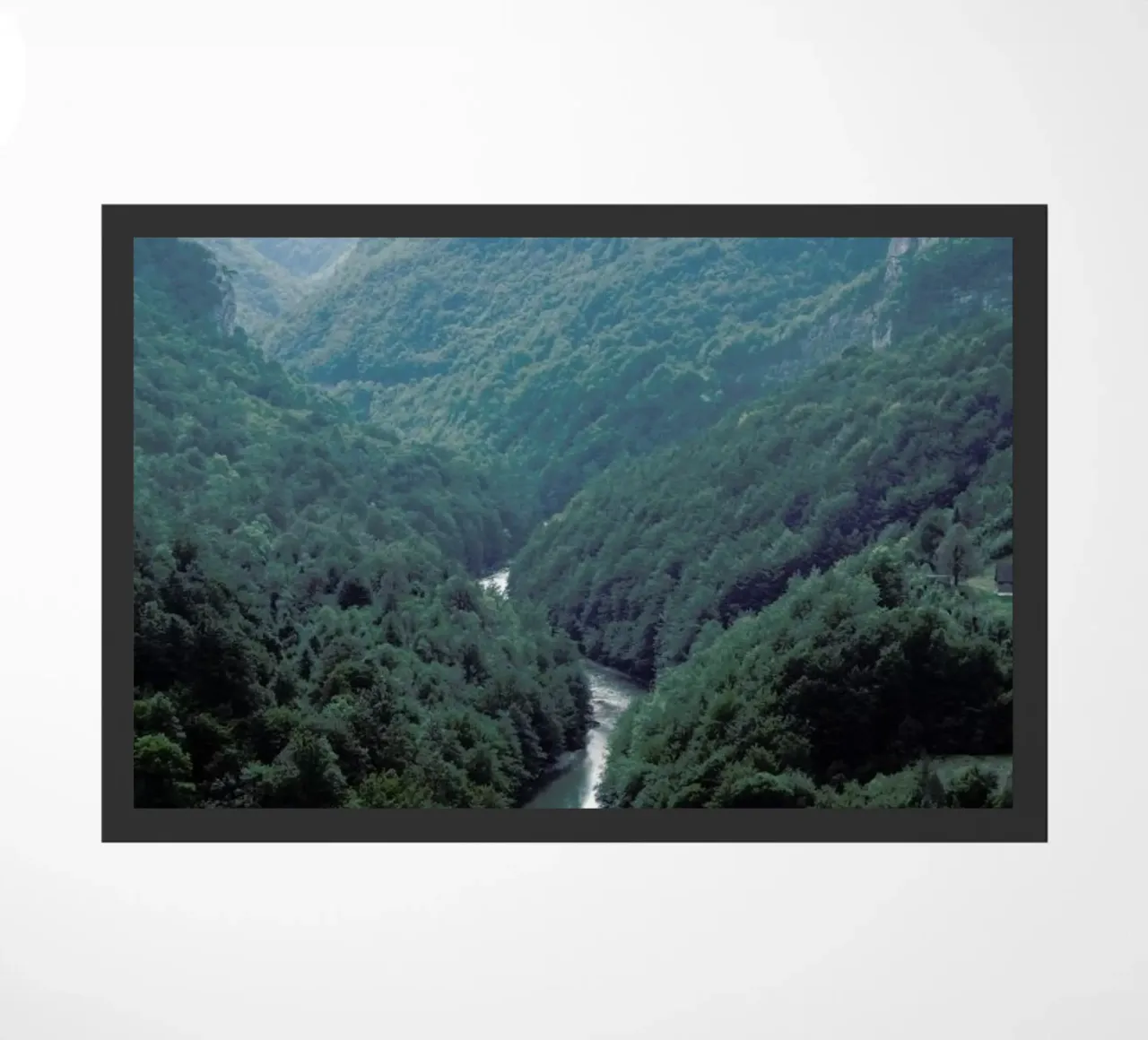 The River through the Forest zerbino da Studio Nahili