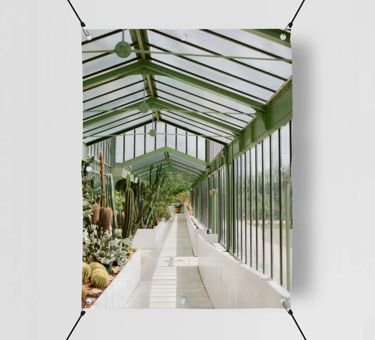 Glasshouse Walk – Cactus Lightscape telo in pvc da Raisa Zwart Photography