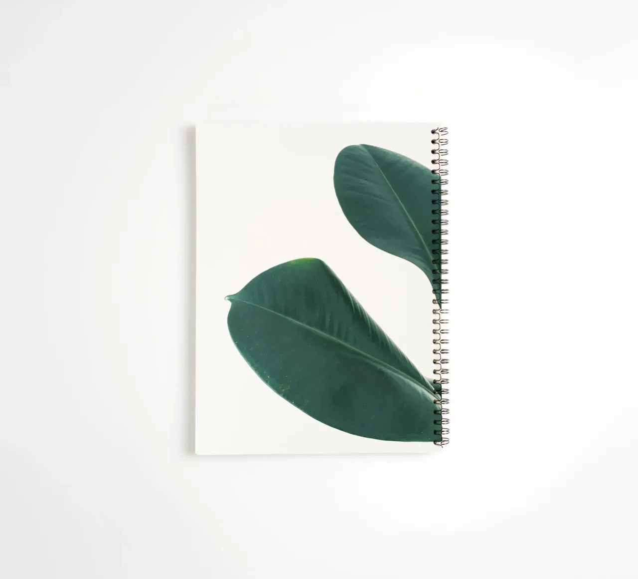 Rubber Fig Leaves I spiral notebook by Cassia Beck Photography