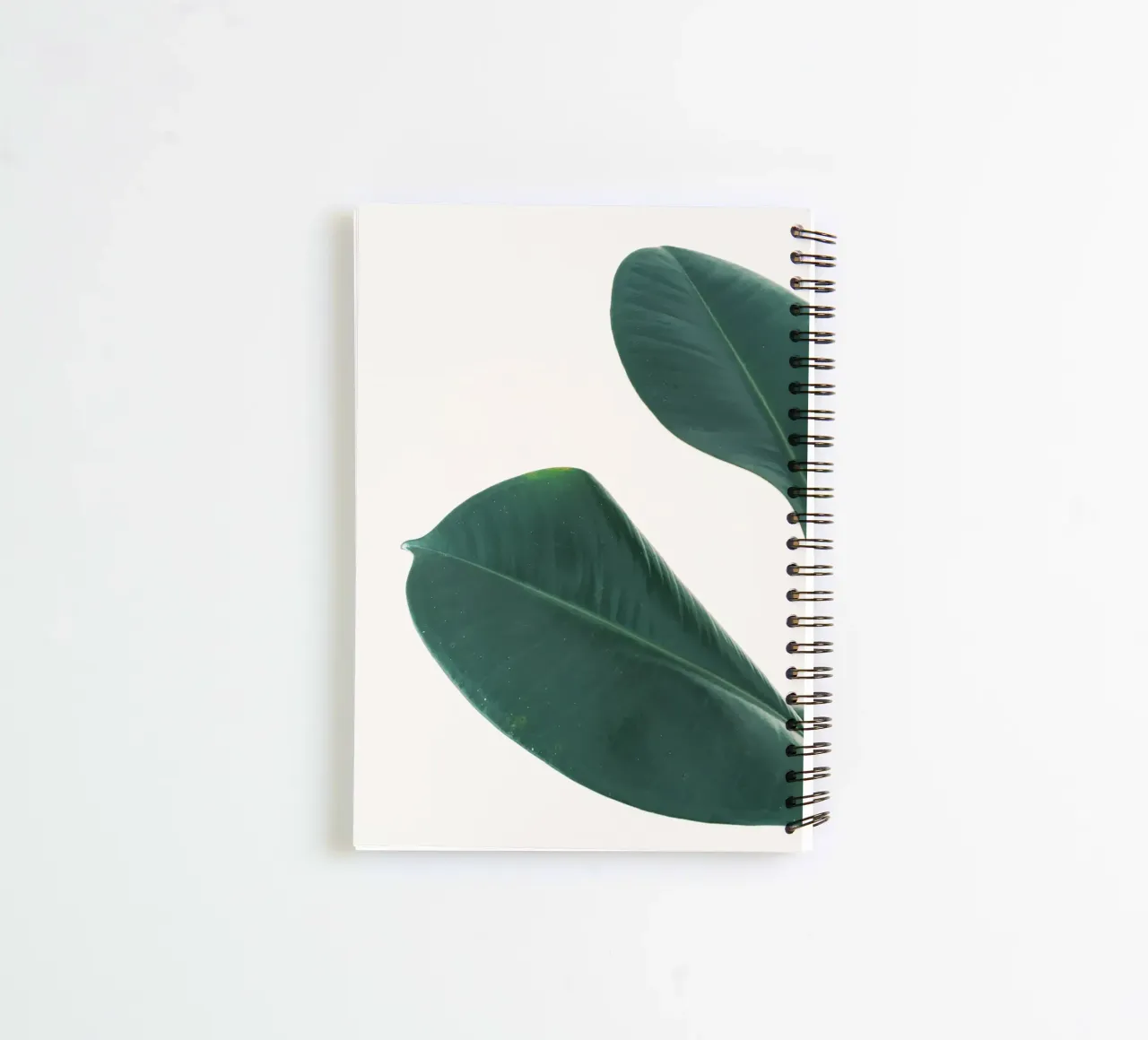 Rubber Fig Leaves I spiral notebook by Cassia Beck Photography