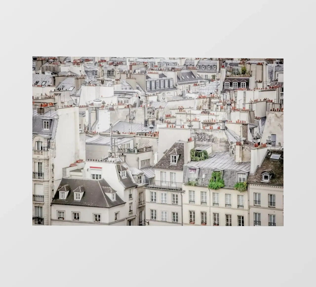Roof Tops In Paris pellicola backlit da Magdalena Martin Photography