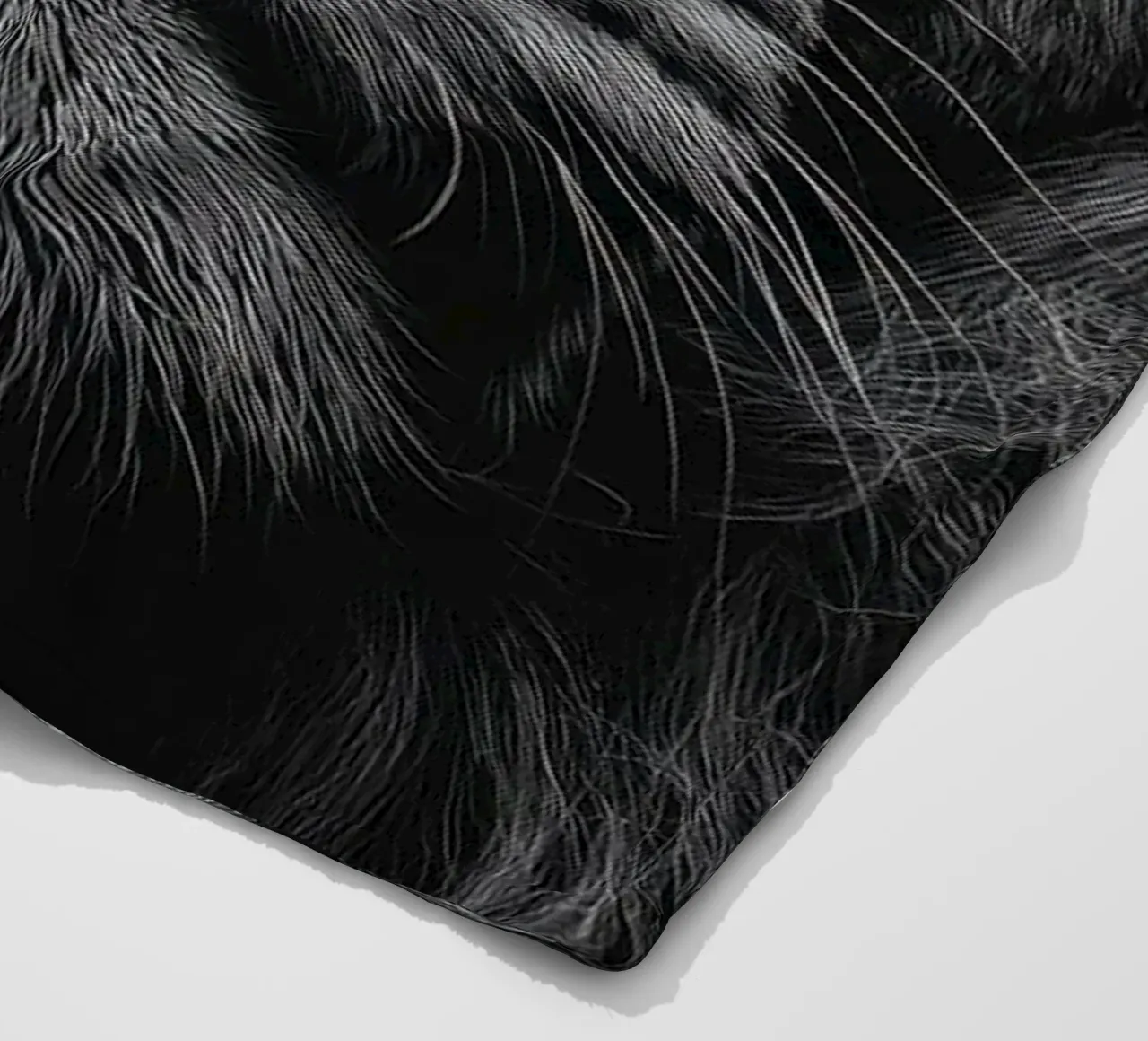 Leone in bianco e nero coperta in pile da Imagine