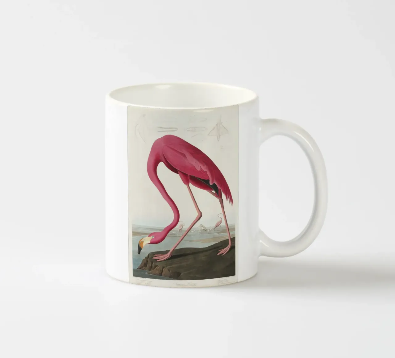 Audubon Pink Flamingo - Ornithological Print ceramic mug by NorwesClub