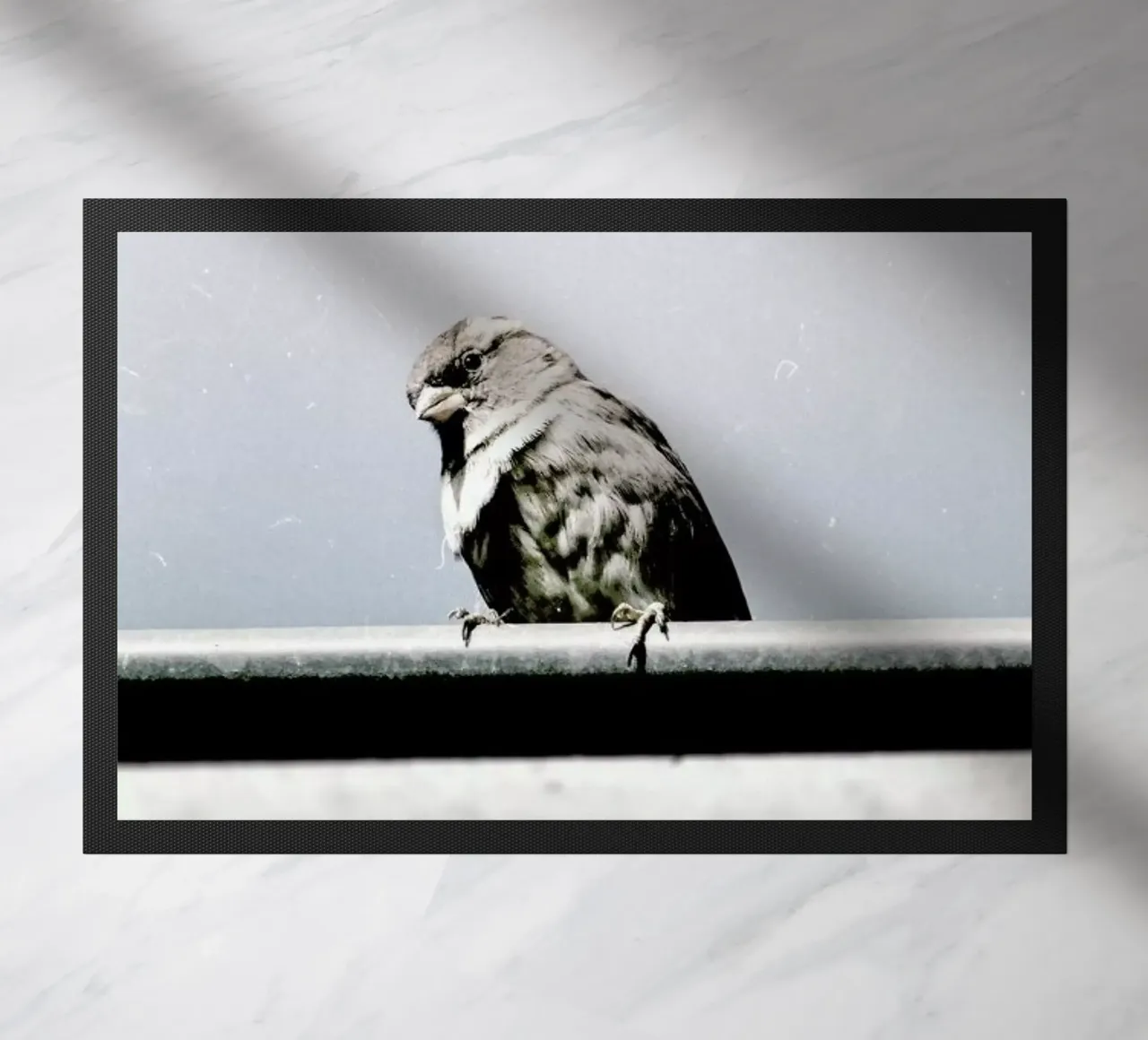 Messenger zerbino da Natural Kingdom