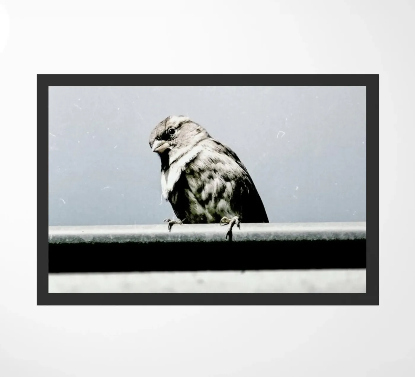 Messenger deurmat van Natural Kingdom