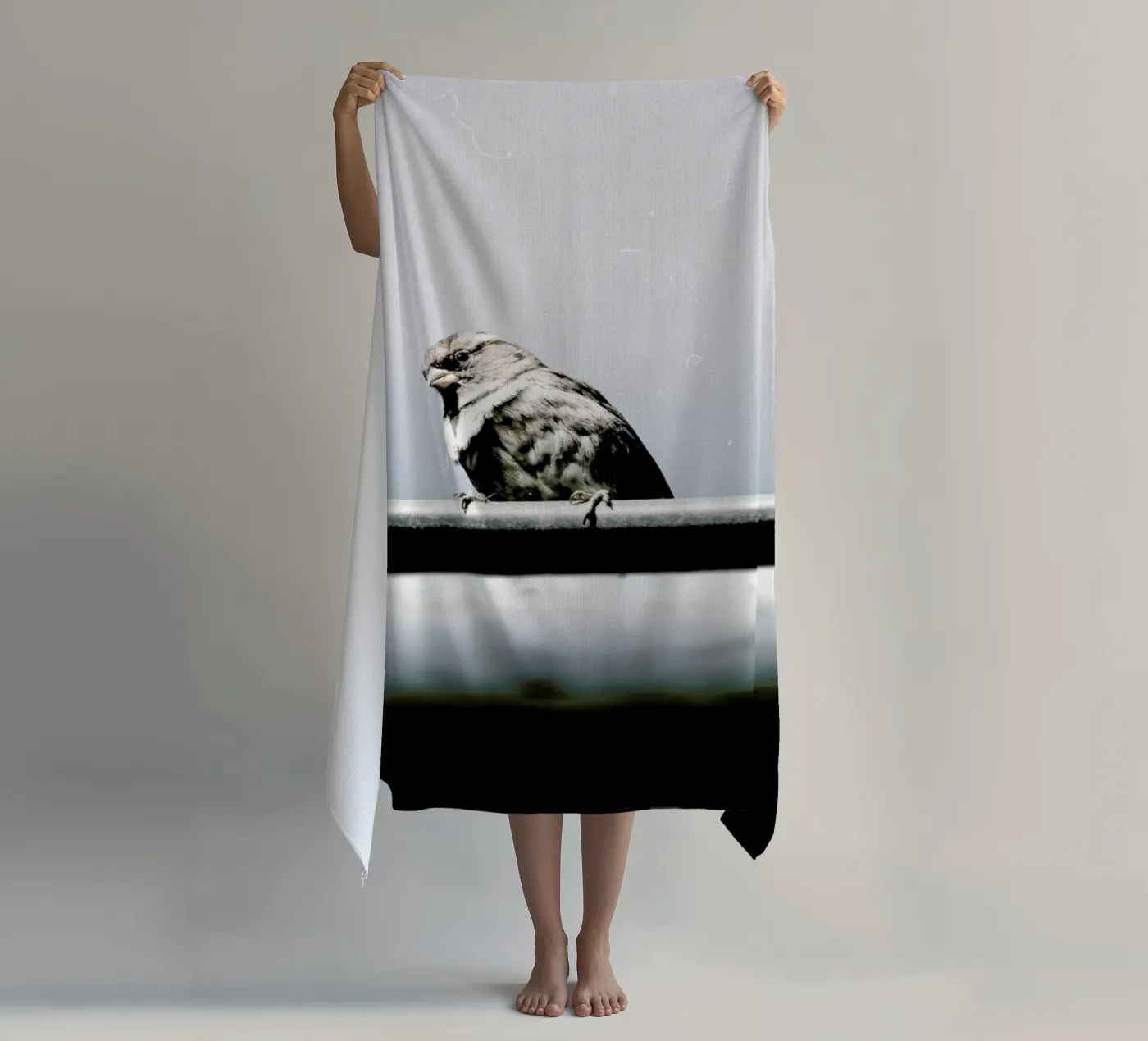 Messenger telo mare da Natural Kingdom