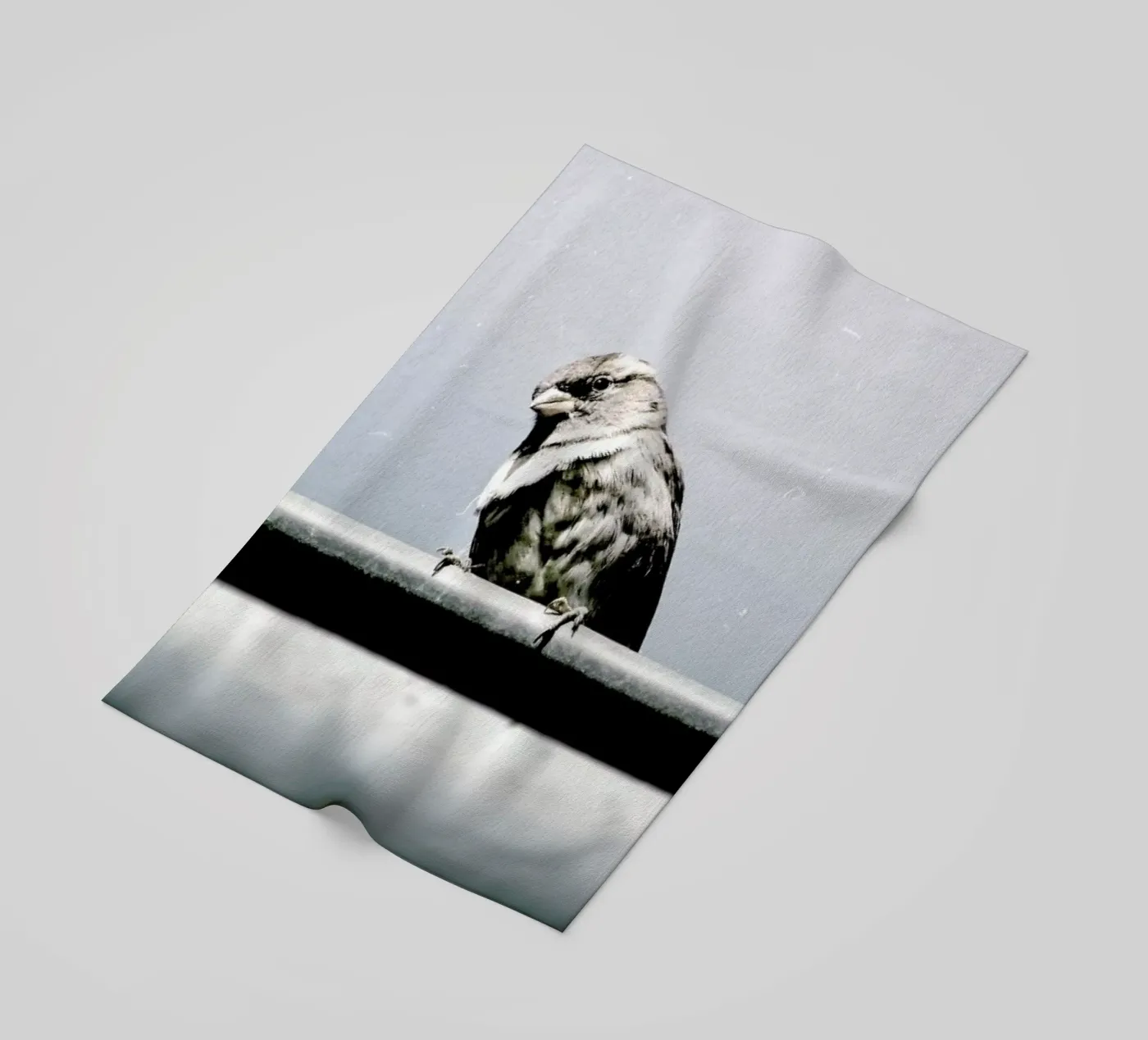 Messenger telo mare da Natural Kingdom