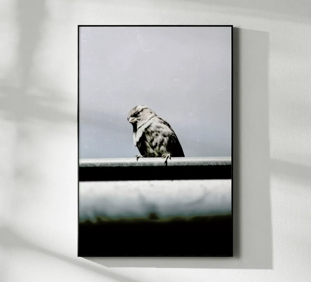 Messenger Acryl-Glas von Natural Kingdom