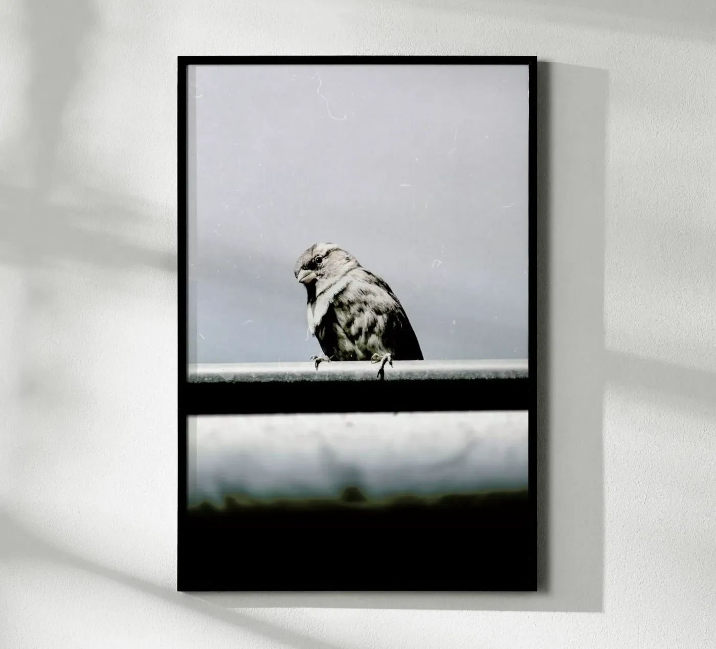 Messenger poster van Natural Kingdom