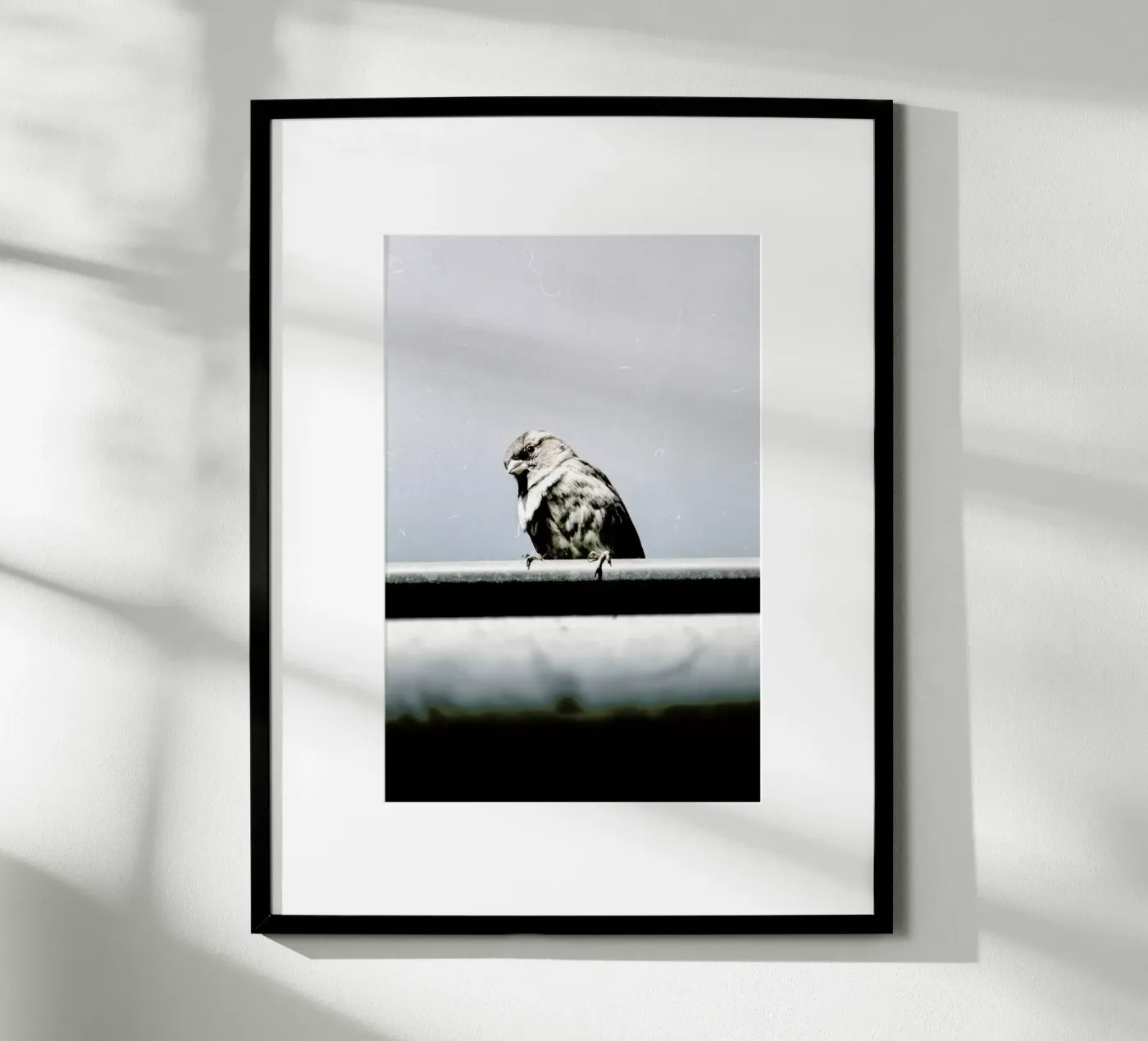 Messenger poster van Natural Kingdom