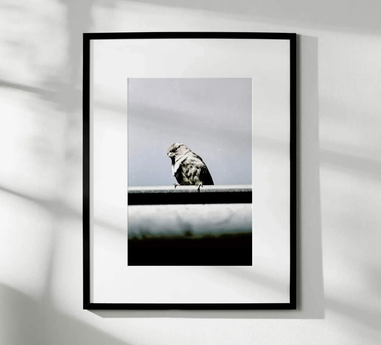 Messenger poster da Natural Kingdom