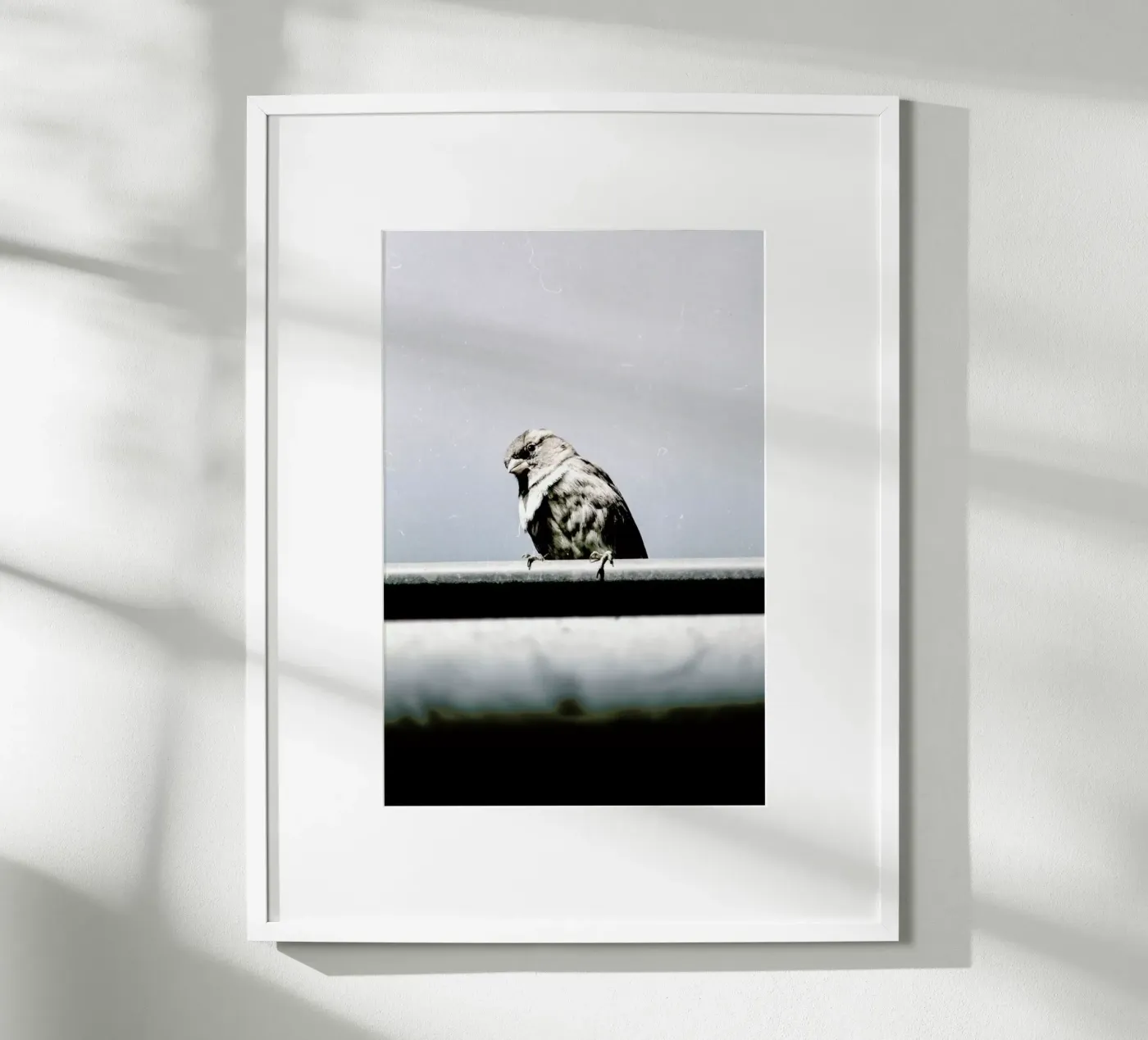 Messenger poster van Natural Kingdom