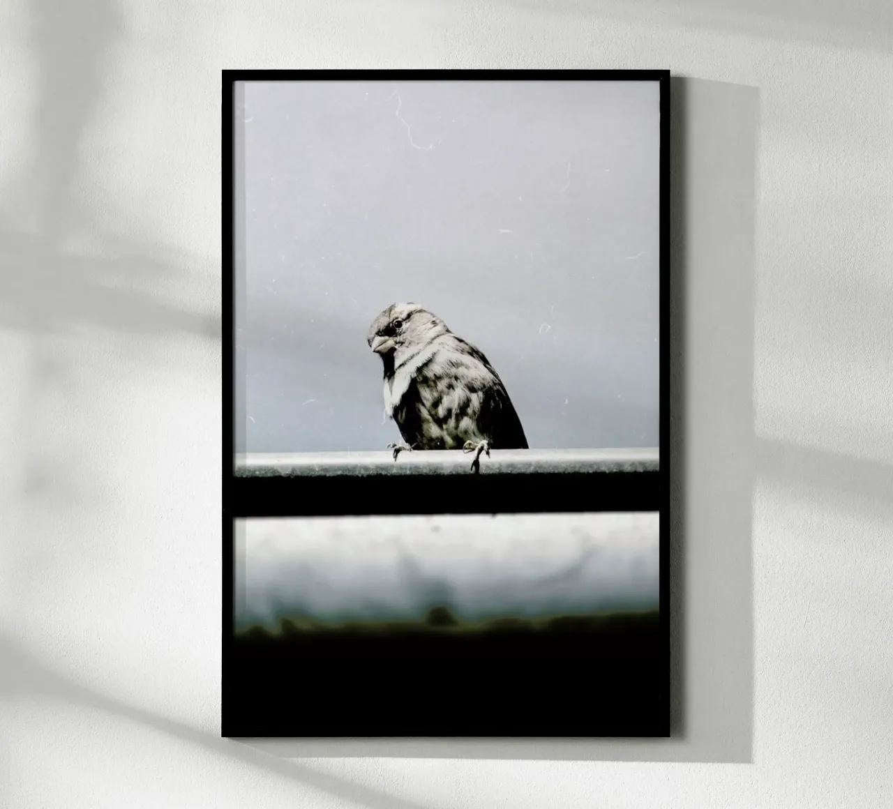 Messenger poster da Natural Kingdom