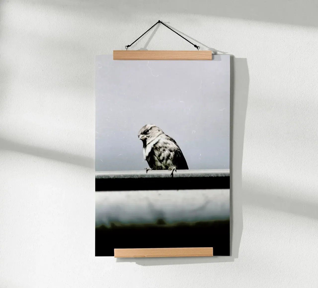 Messenger poster da Natural Kingdom