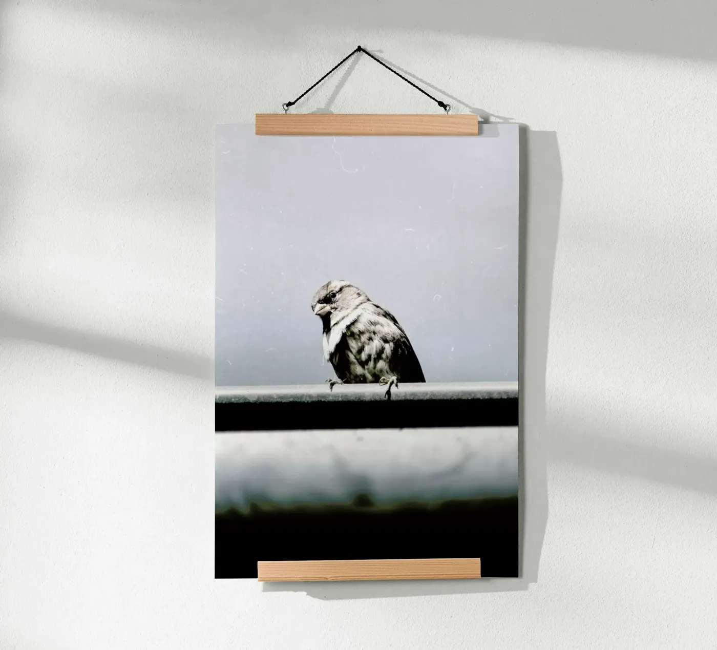 Messenger poster van Natural Kingdom