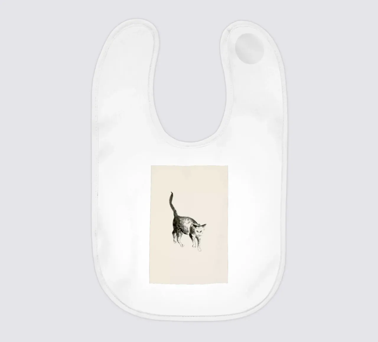 Salem bavaglino da Flora & Fauna