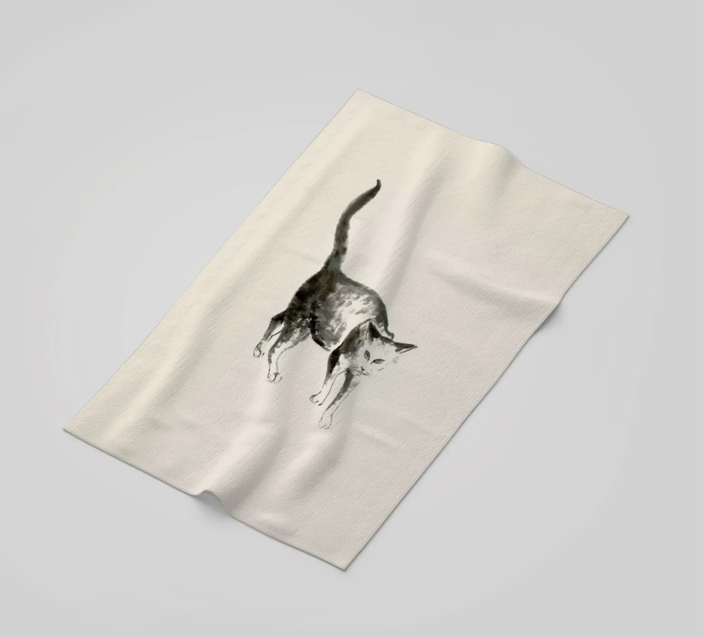 Salem telo mare da Flora & Fauna