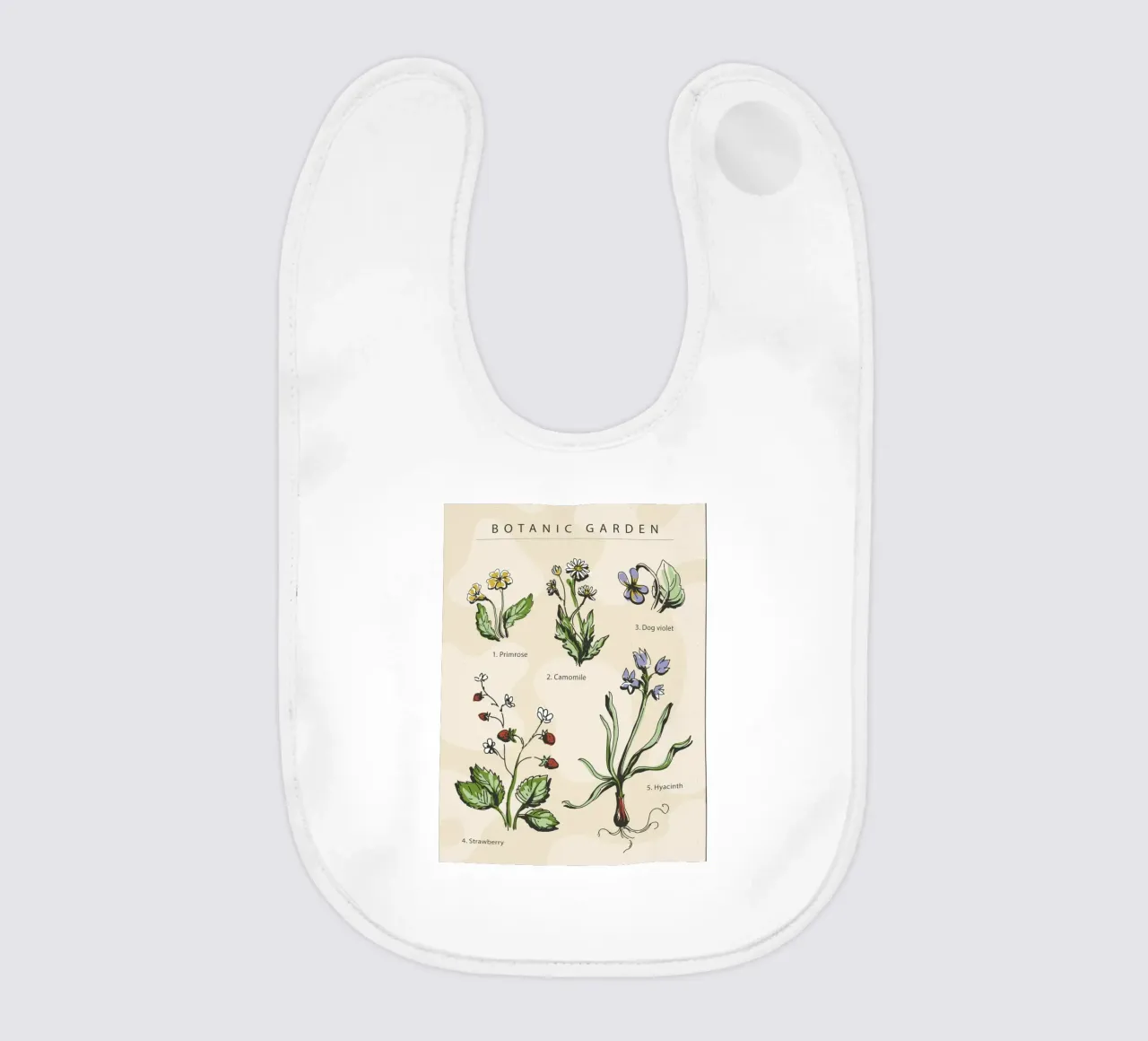 Giardino botanico bavaglino da ARTVI-SHOP